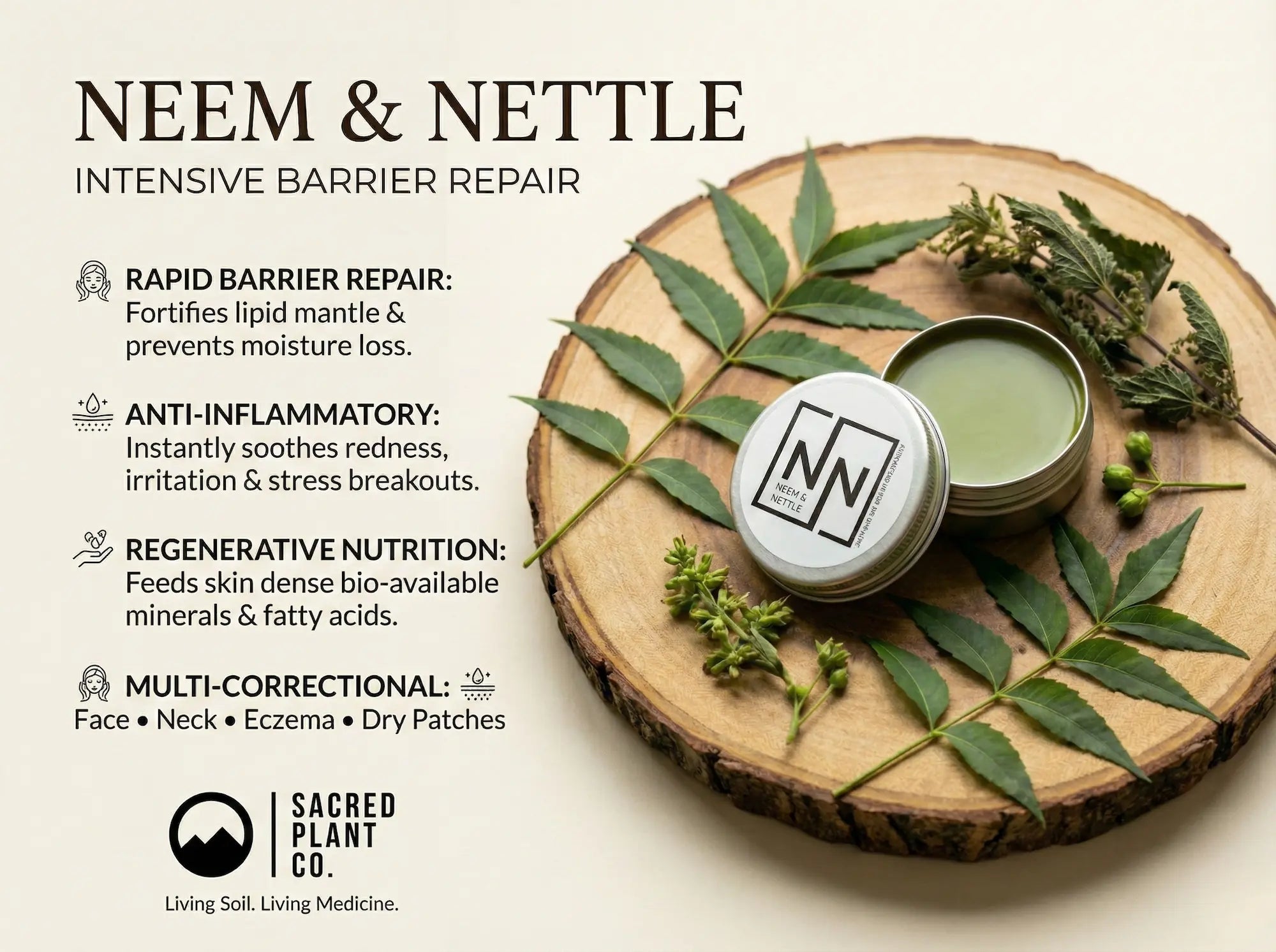 Infographic detailing benefits of Neem & Nettle Salve: Rapid Barrier Repair for lipid mantle, Anti-Inflammatory for redness, Regenerative Nutrition with bio-available minerals, and Multi-Correctional use for Eczema and Dry Patches.