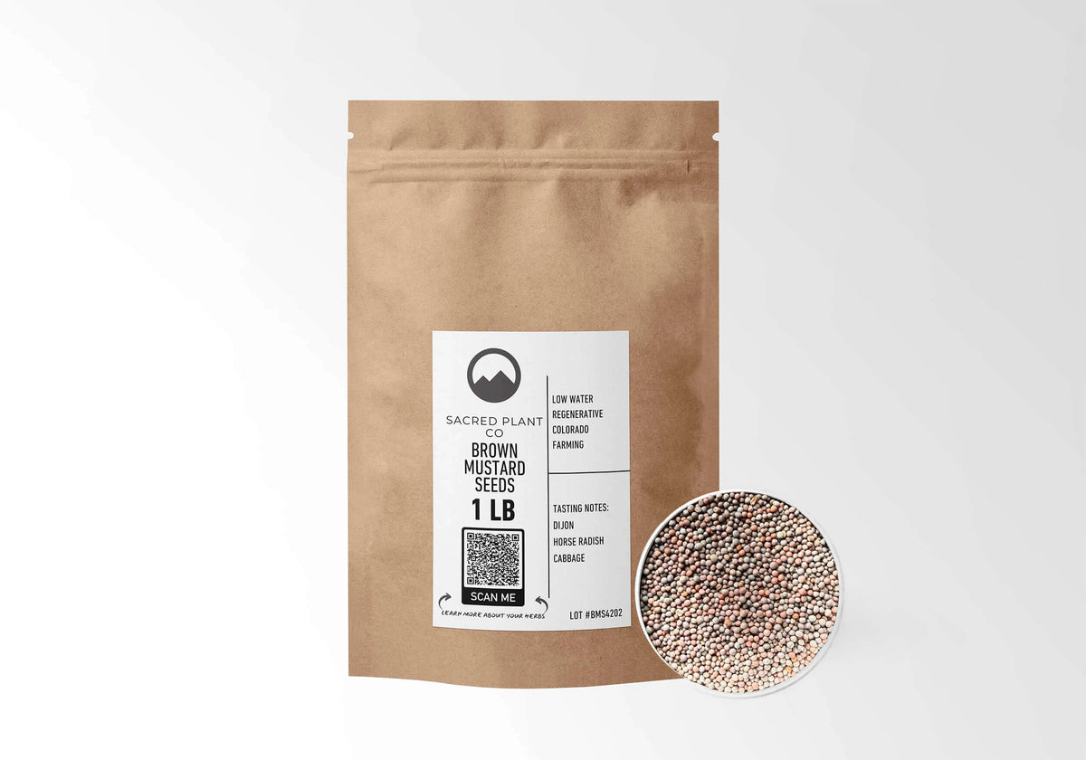 Sacred Plant Co Brown Mustard Seeds 1 LB kraft stand-up pouch shown with a sample of the seeds.