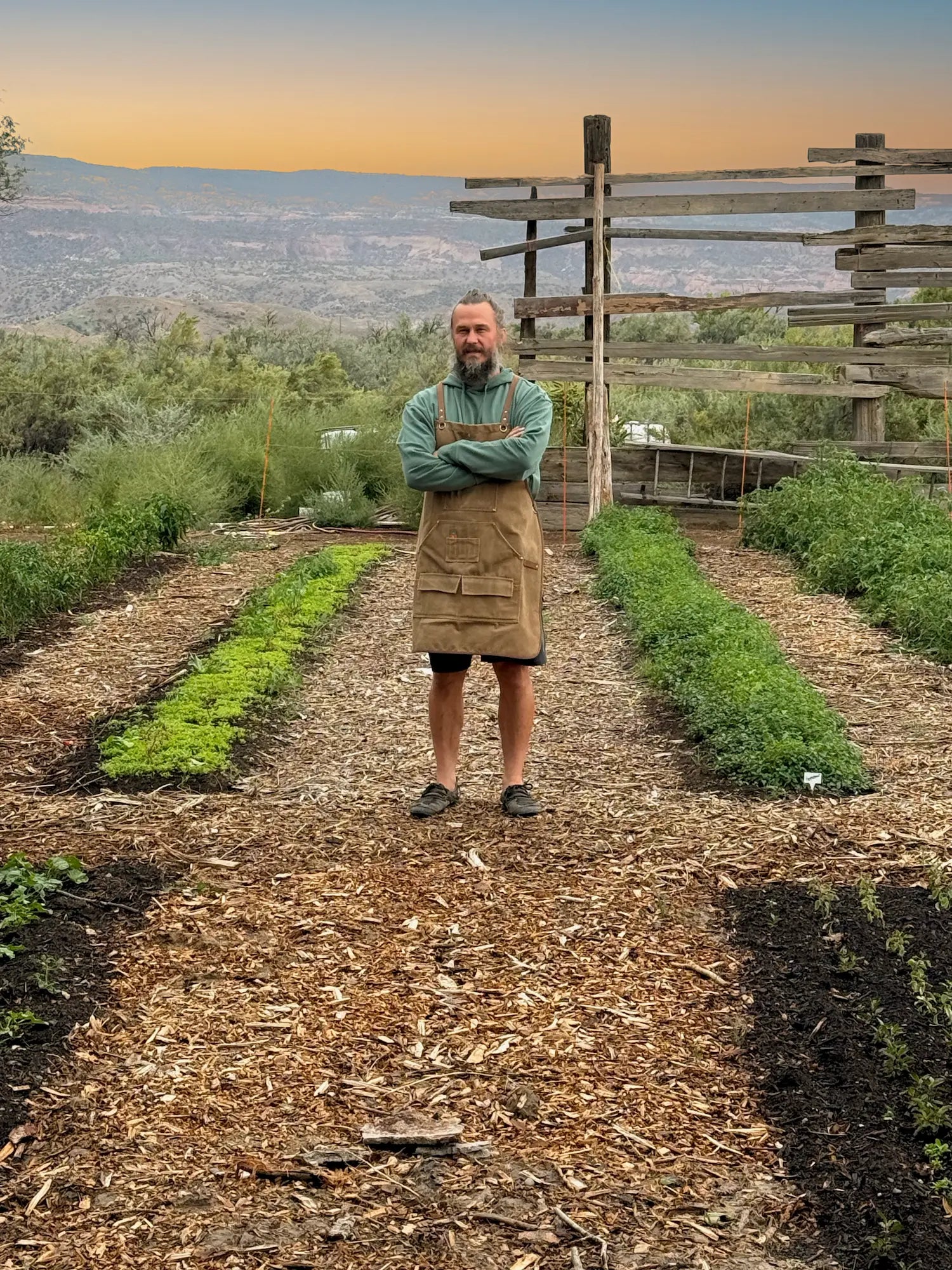 Founder of Sacred Plant Co standing among herb production rows wearing an apron — stewardship and small-batch herbalism