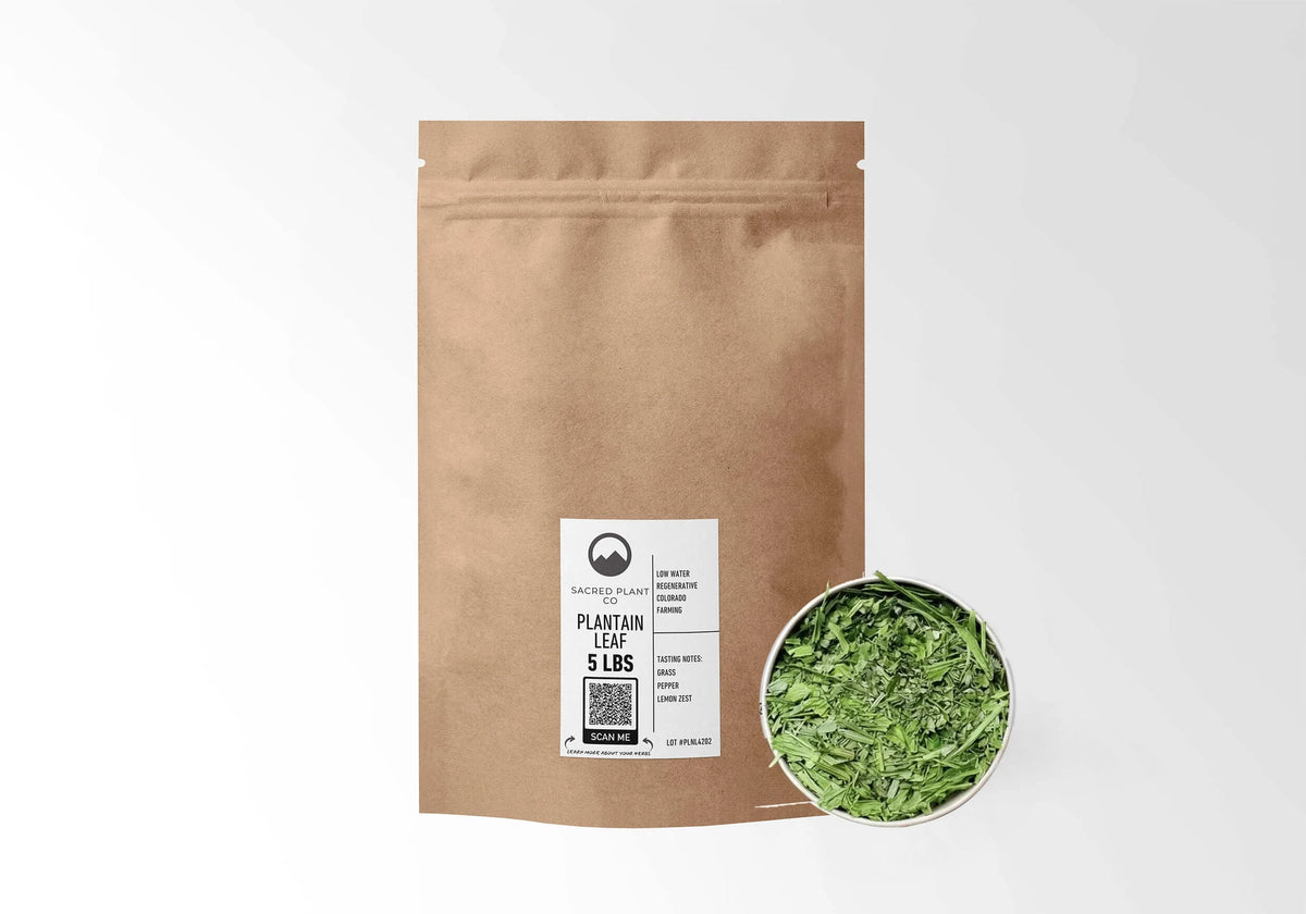 Sacred Plant Co Plantain Leaf 5 LBS kraft stand-up pouch shown with a sample of the herb.