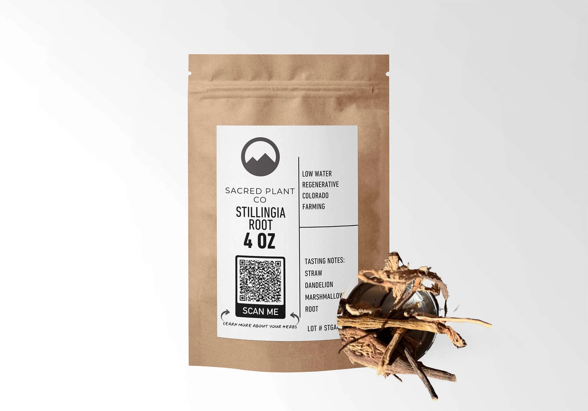Sacred Plant Co Stillingia Root 4 oz kraft stand-up pouch shown with a sample of the herb.