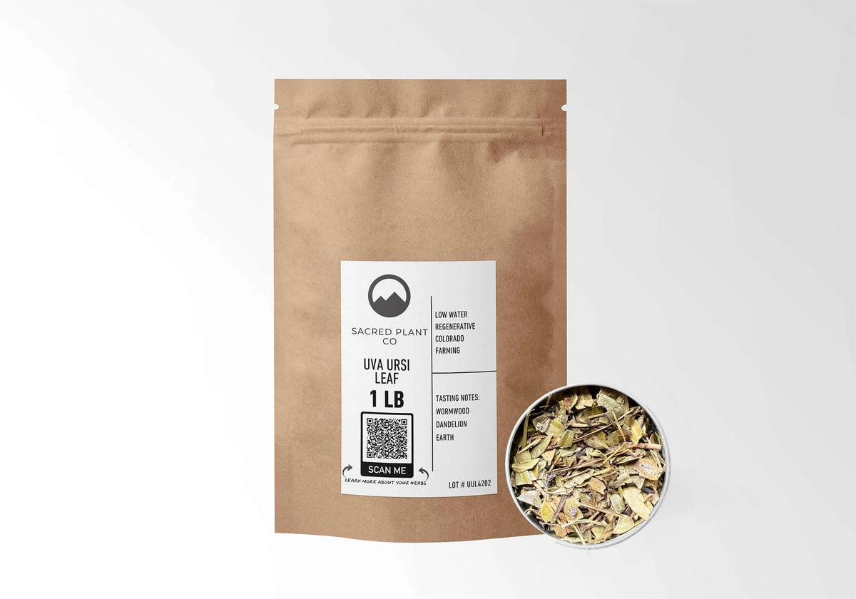 Sacred Plant Co Uva Ursi Leaf 1 LB kraft stand-up pouch shown with a sample of the herb.