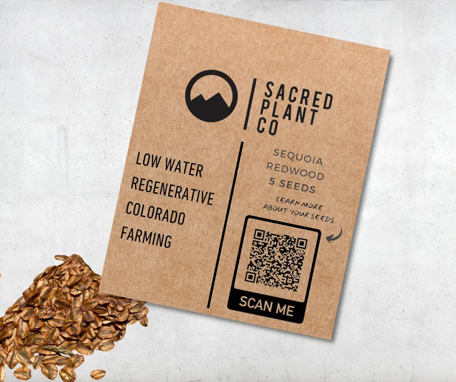 Mockup of Sacred Plant Co Giant Sequoia Redwood seed packet with 5 seed label.