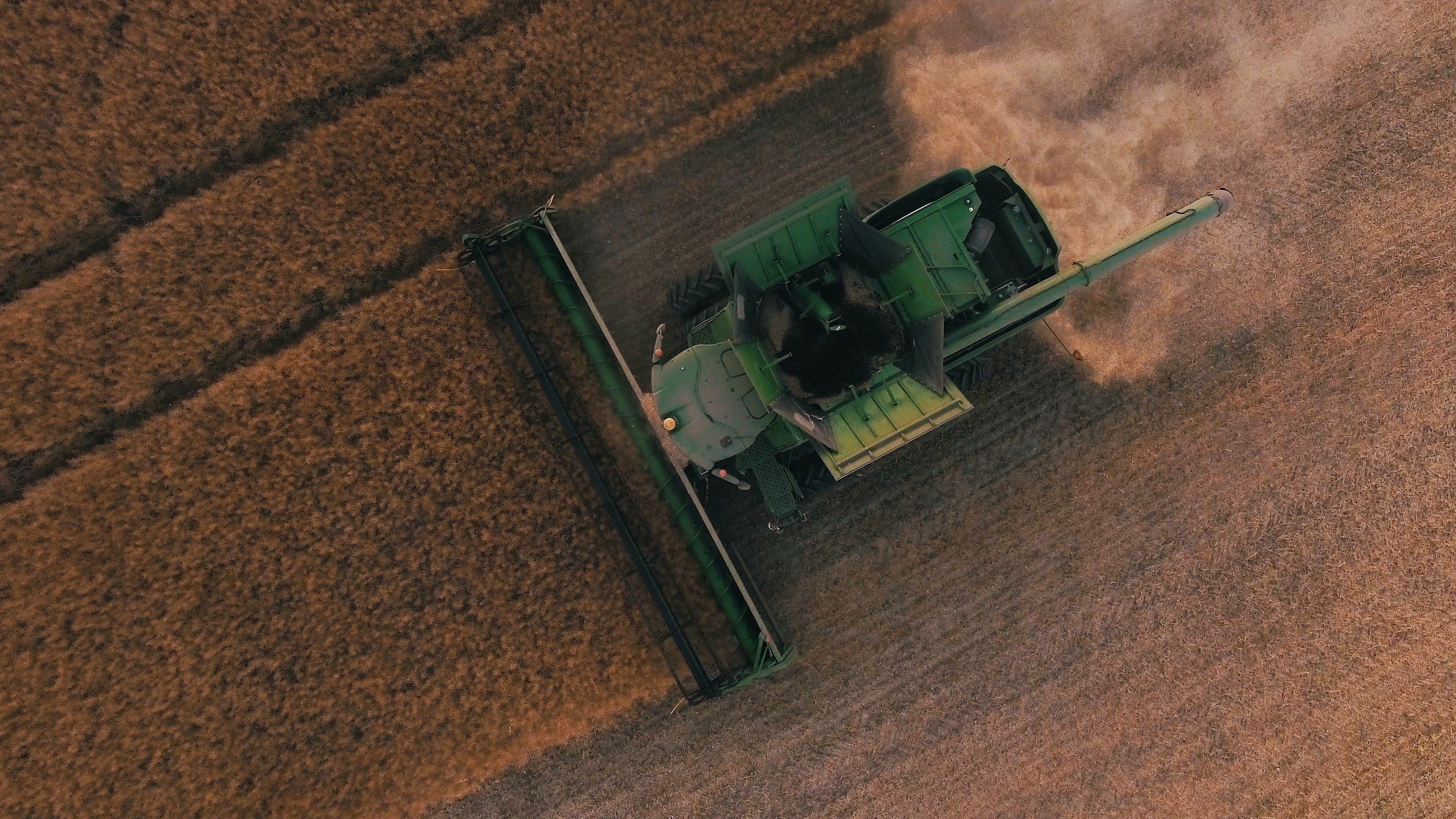 An imposing image of a large industrial tractor, contrasting starkly with our eco-friendly use of geese for weed control at Low Water Colorado Mountain Herb Farm