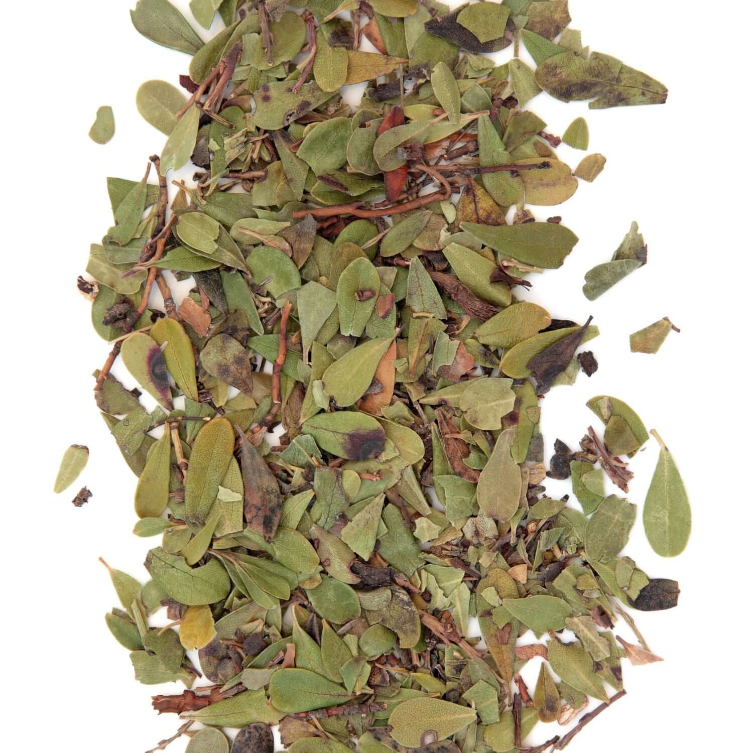 Loose high-quality Arctostaphylos Uva Ursi from Sacred Plant Co, featuring a mix of dried, green and brown leaves with a coarse texture against a clean, white background.