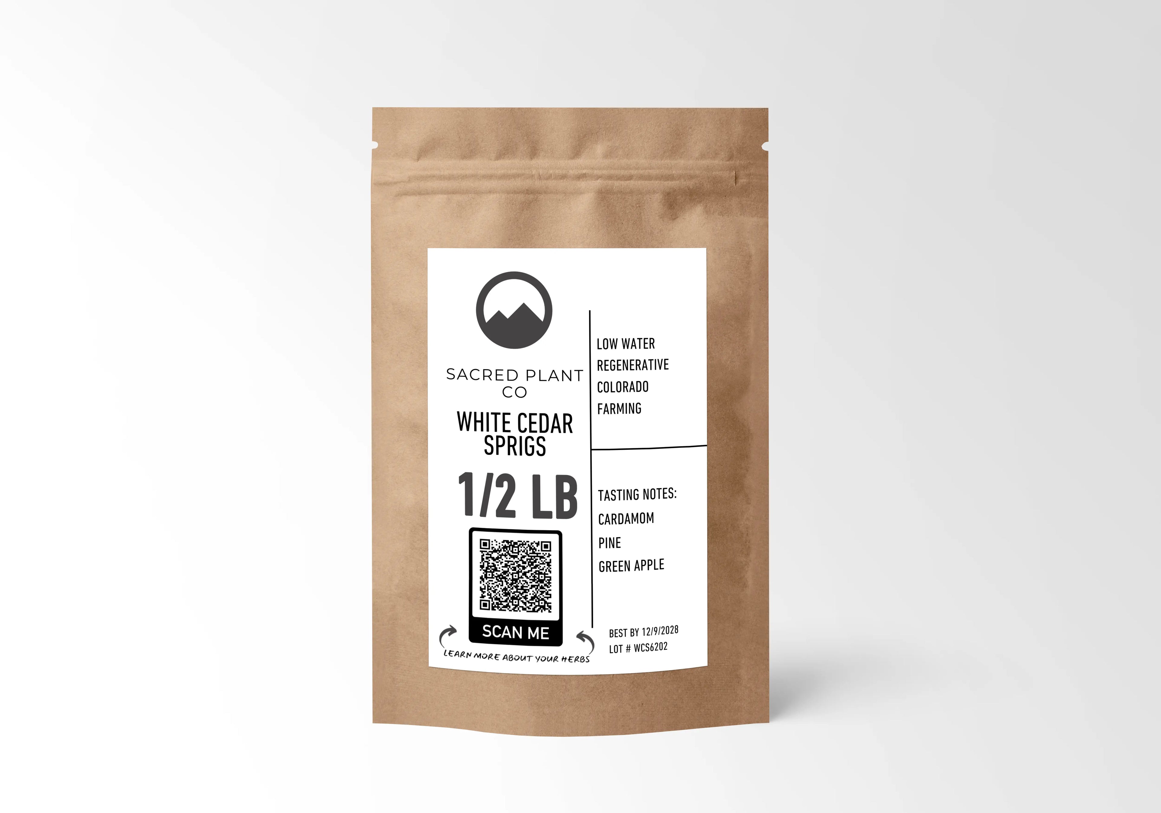 Sacred Plant Co White Cedar Sprigs – Premium Wildcrafted Evergreen (Thuja occidentalis)