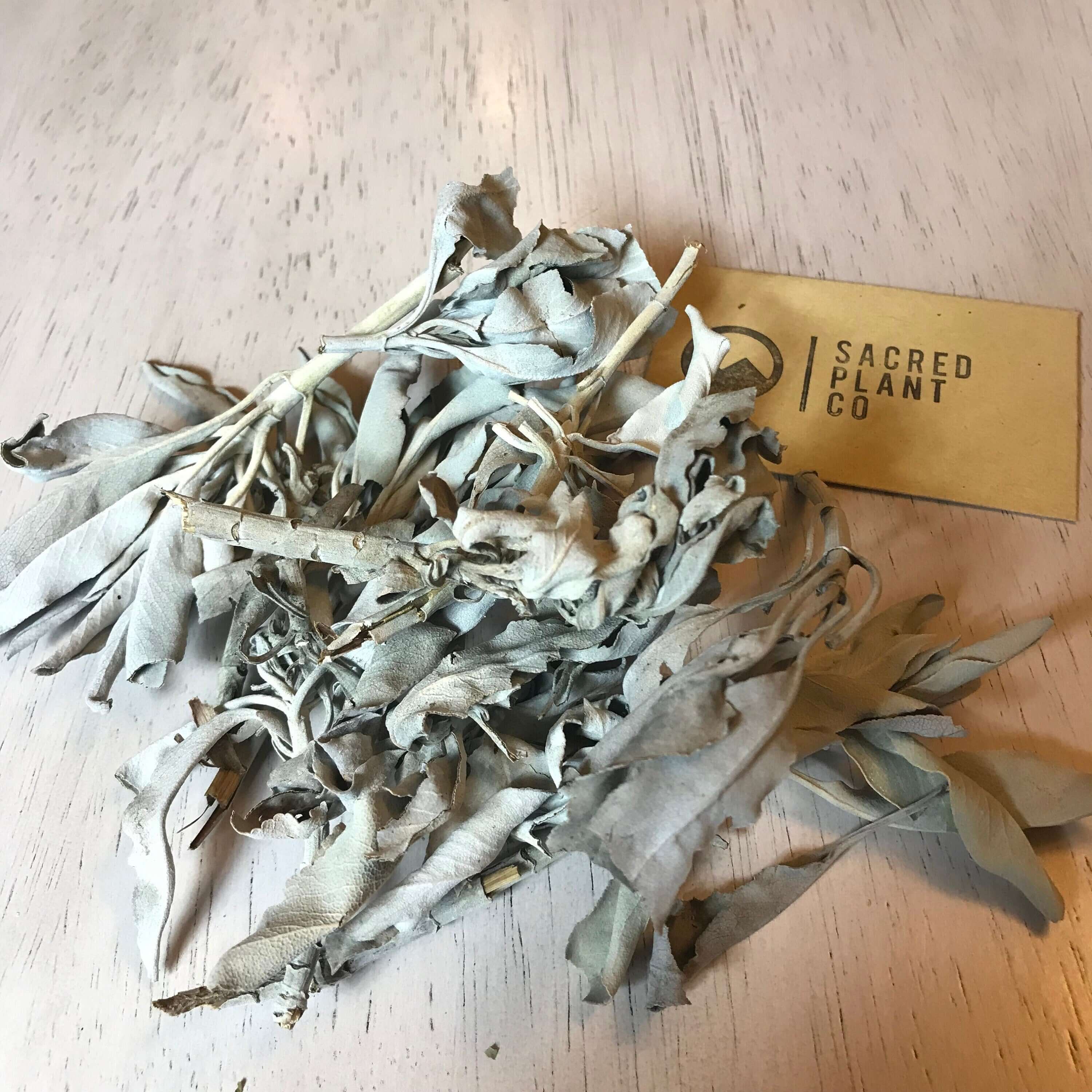 Silvery-White Sage leaves with a slightly brittle texture, sourced from Sacred Plant Co, resting on a smooth pale wood background.