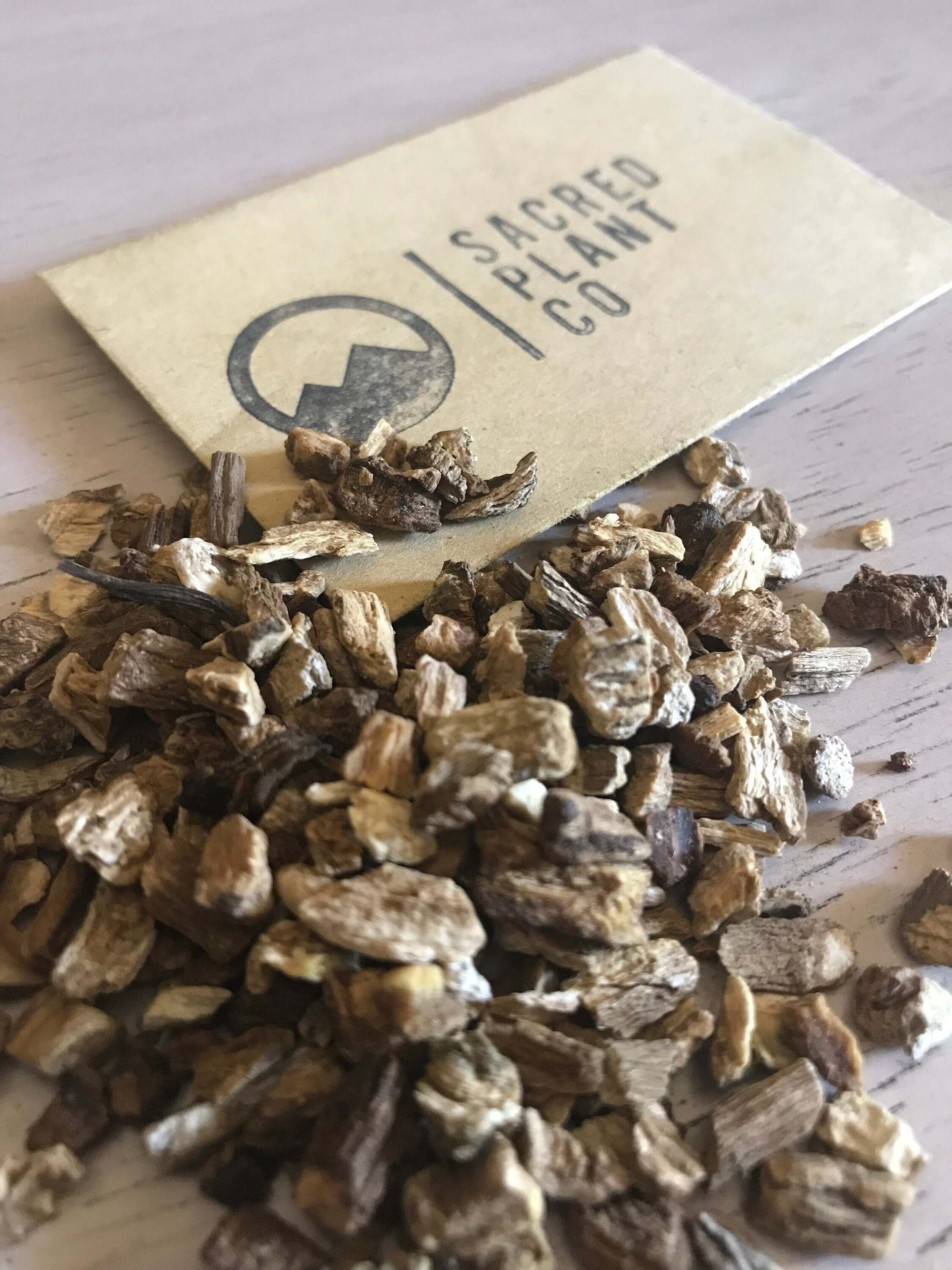 Close-up angle of premium dried Burdock Root beside Sacred Plant Co label, highlighting superior herbal quality.