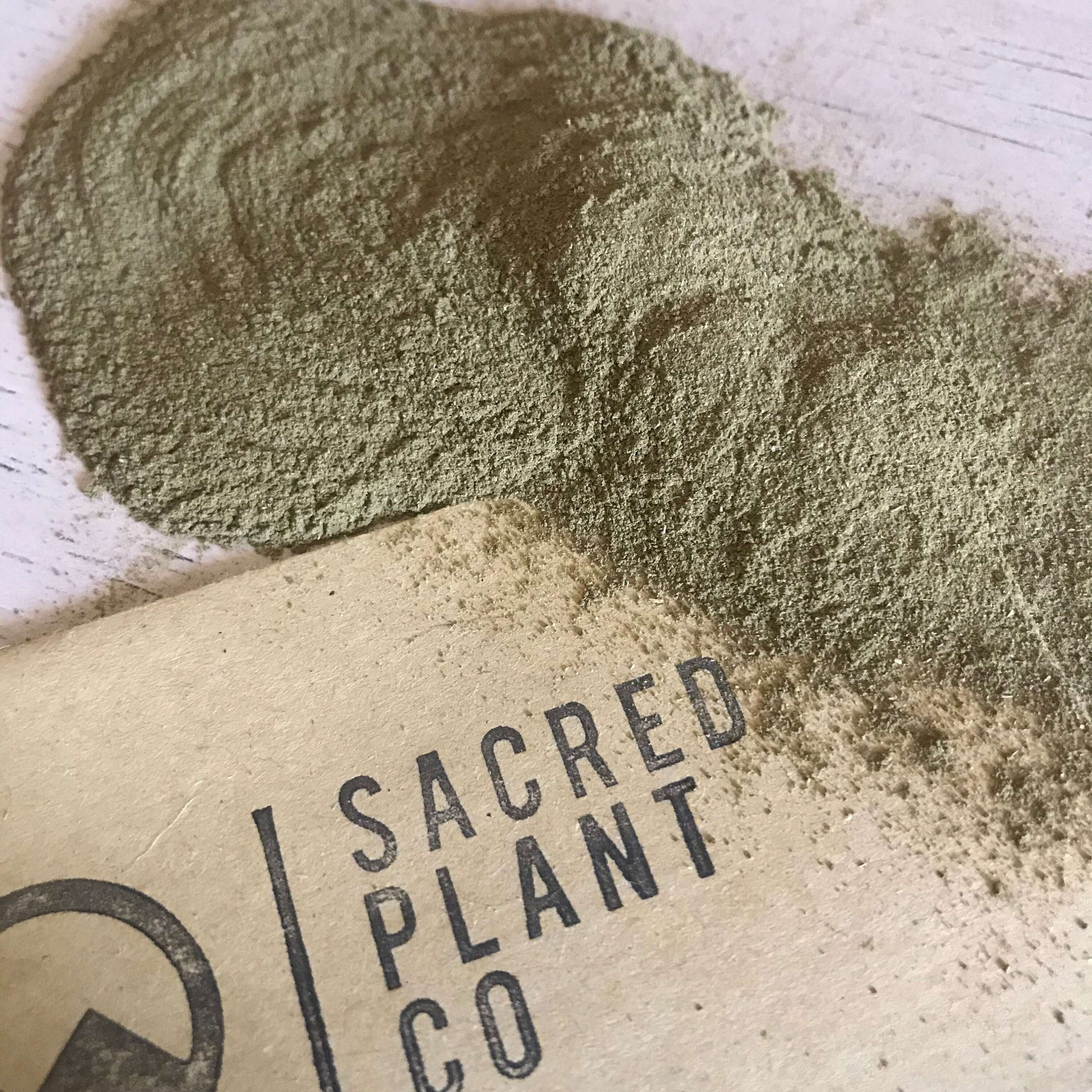 Close-up of Sacred Plant Co&