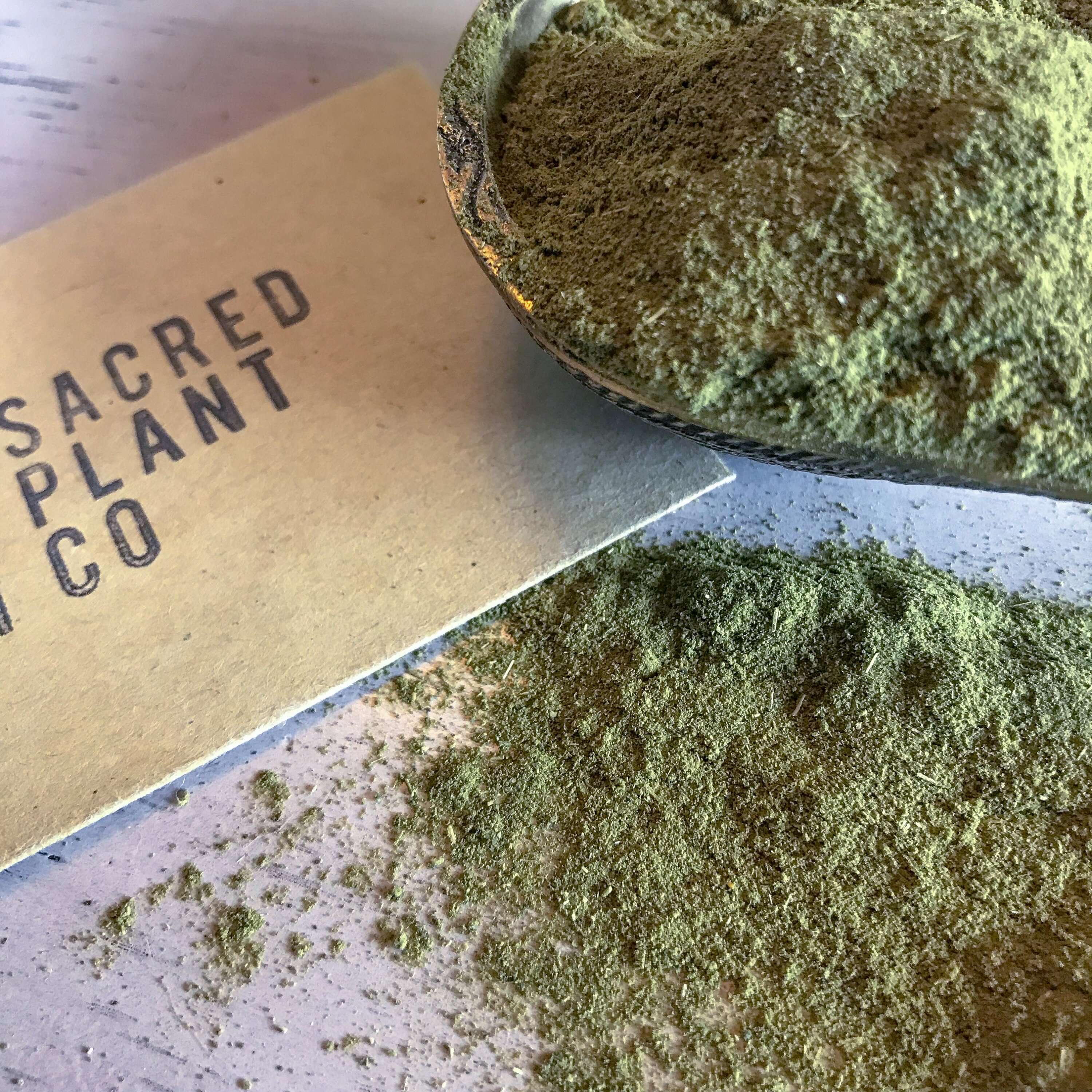 Premium Moringa Powder from Sacred Plant Co, finely ground with a rich green hue, displayed with branding in the background on a wooden table in natural lighting.