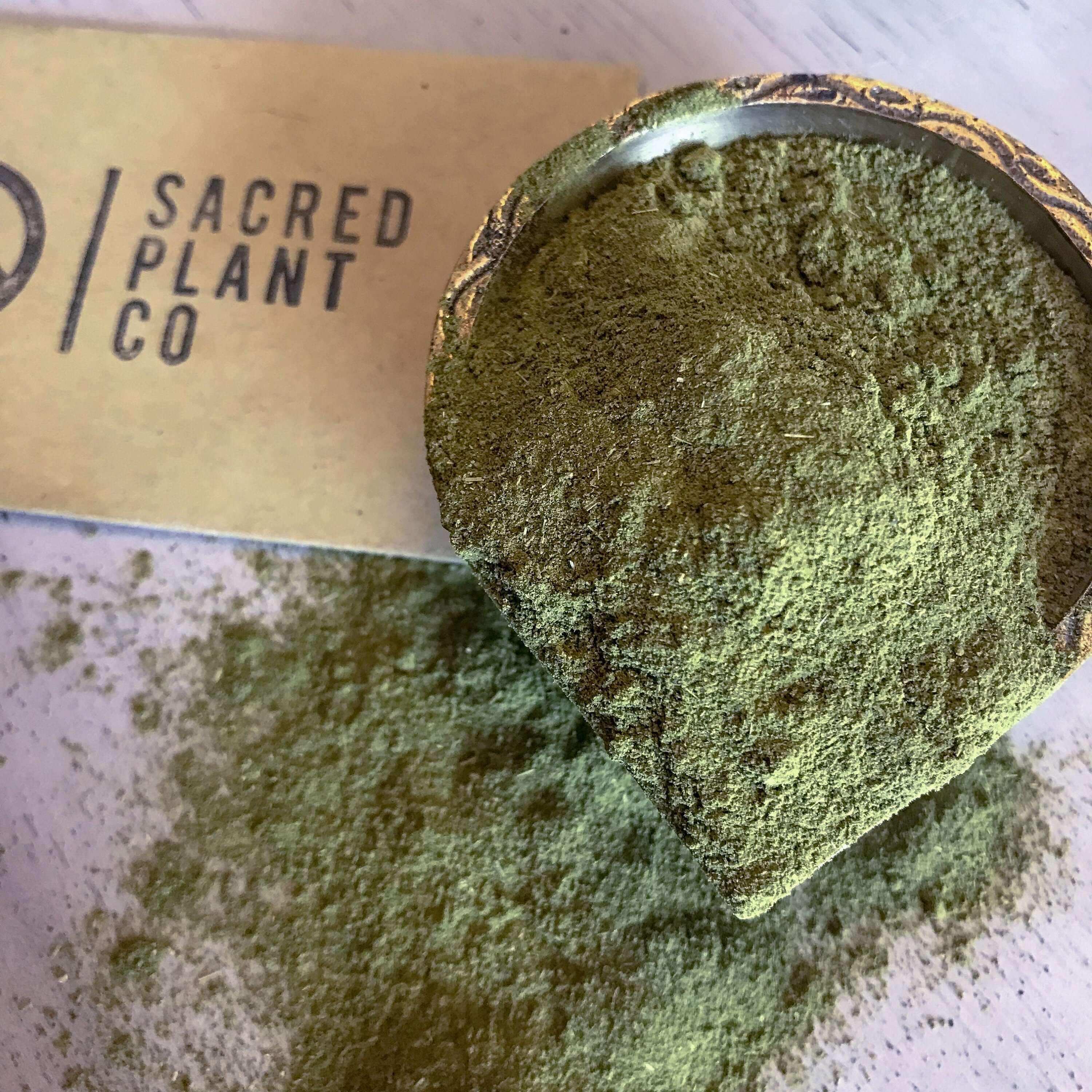 Sacred Plant Co Moringa Powder in a close-up view, emphasizing its fine texture and deep green color, with a branded card visible on a light surface.