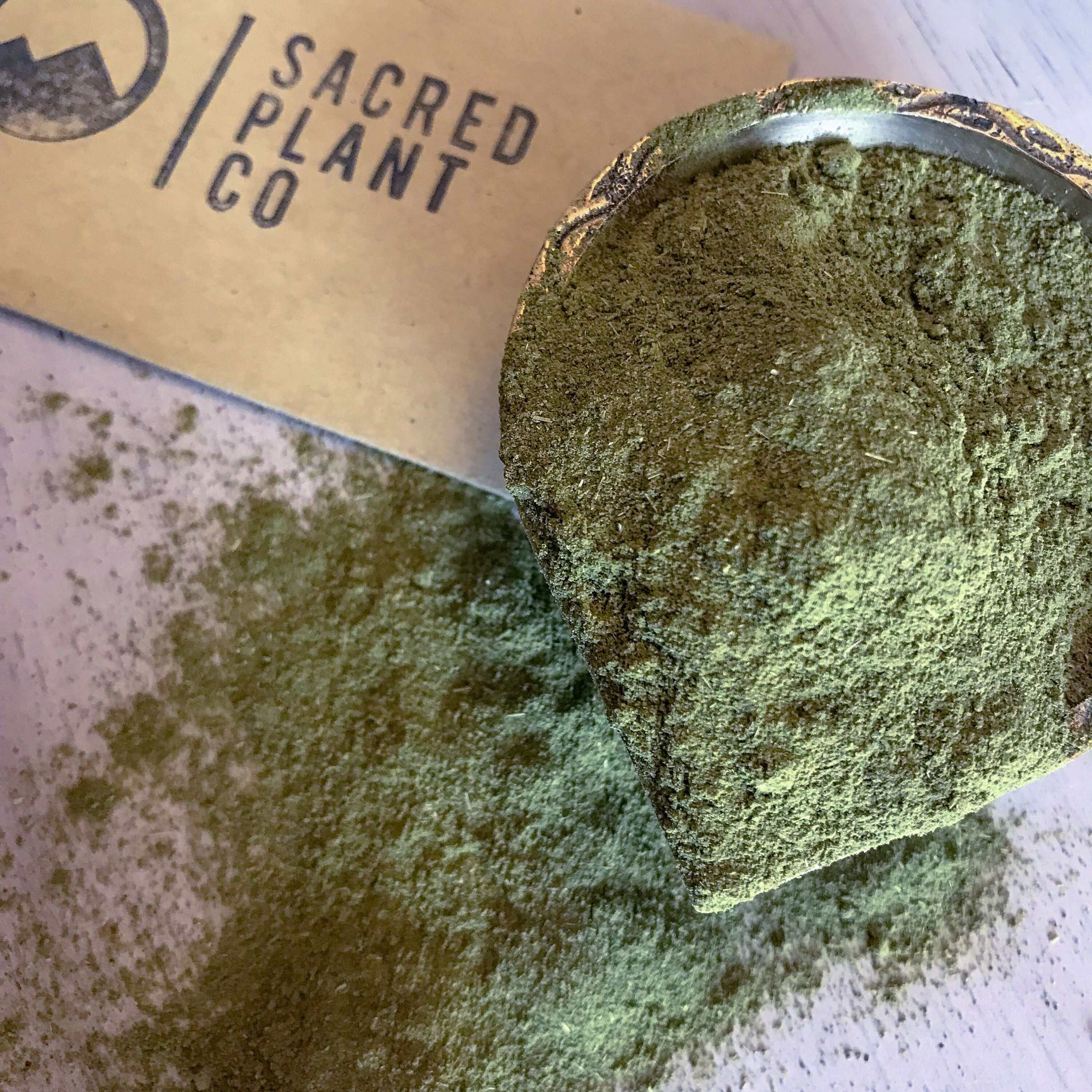 Rich green Moringa Powder by Sacred Plant Co, finely ground and showcased up close with branding in the blurred background on a light wooden surface.