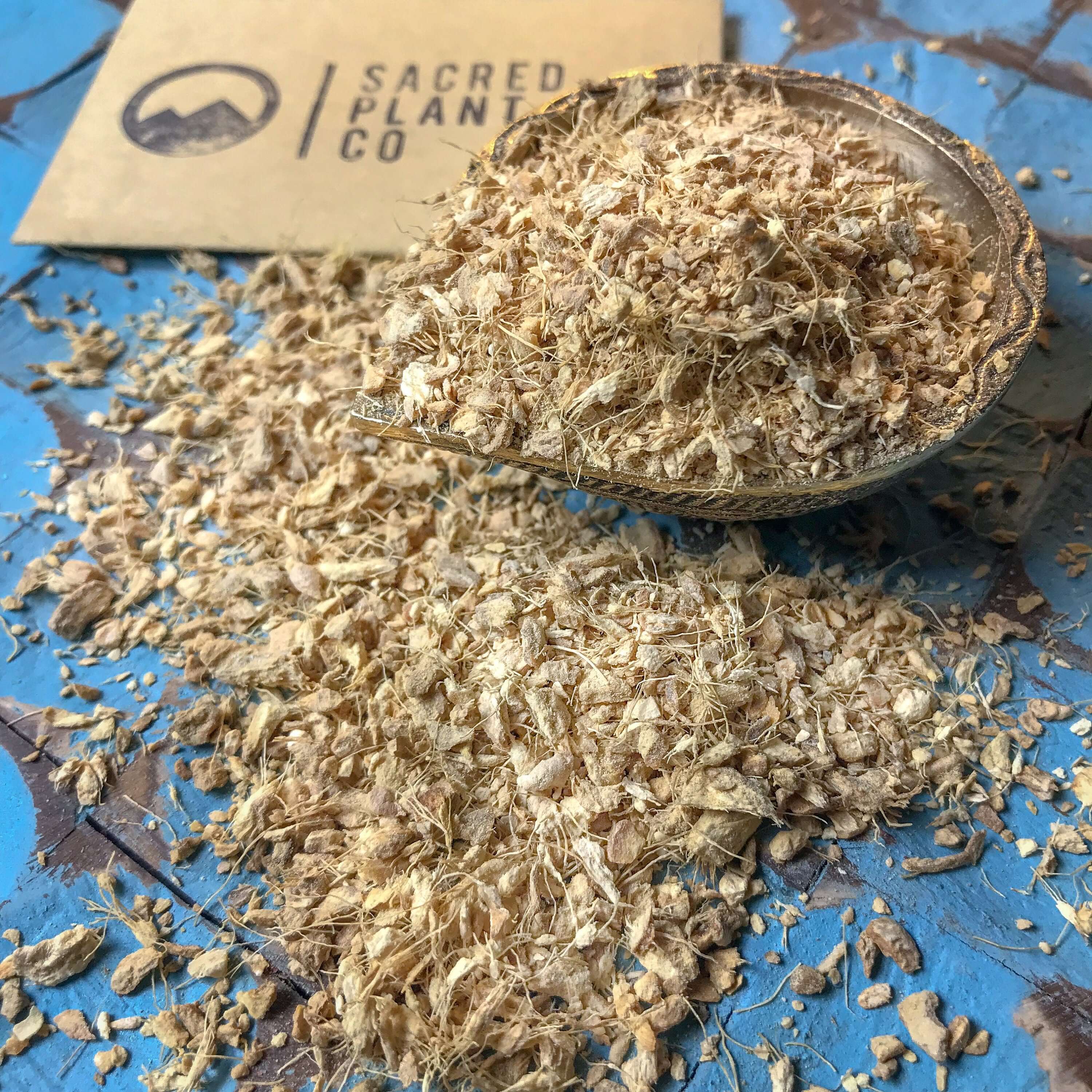 Sacred Plant Co’s high-quality Ginger Root with a fibrous texture, beautifully arranged on rustic blue tiles for a striking contrast.