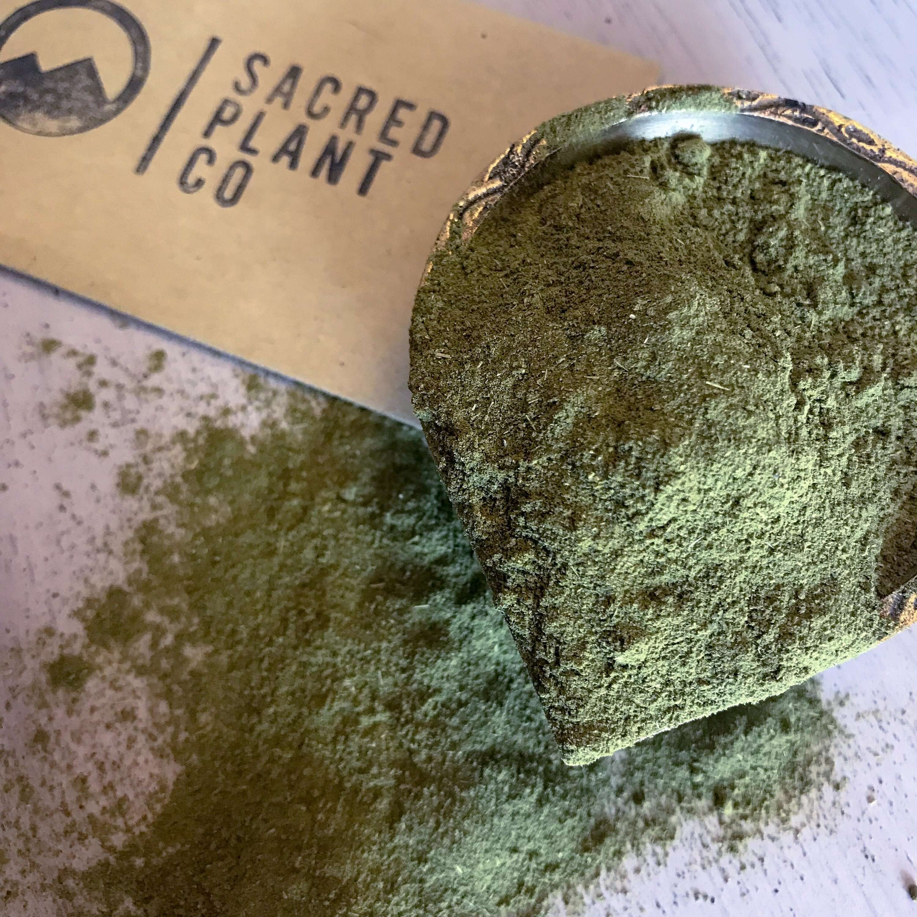 Finely textured Sacred Plant Co Moringa Powder, with a vibrant green color, highlighted against a light wooden surface and branded packaging in the backdrop.