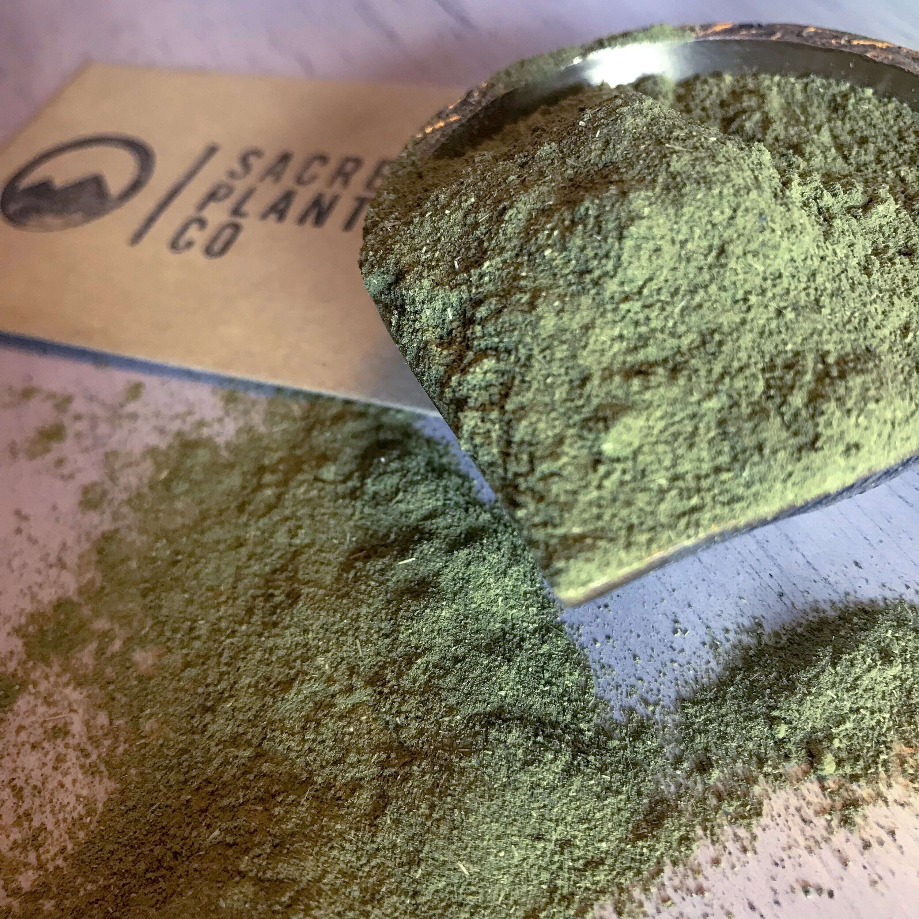 Close-up of Sacred Plant Co&