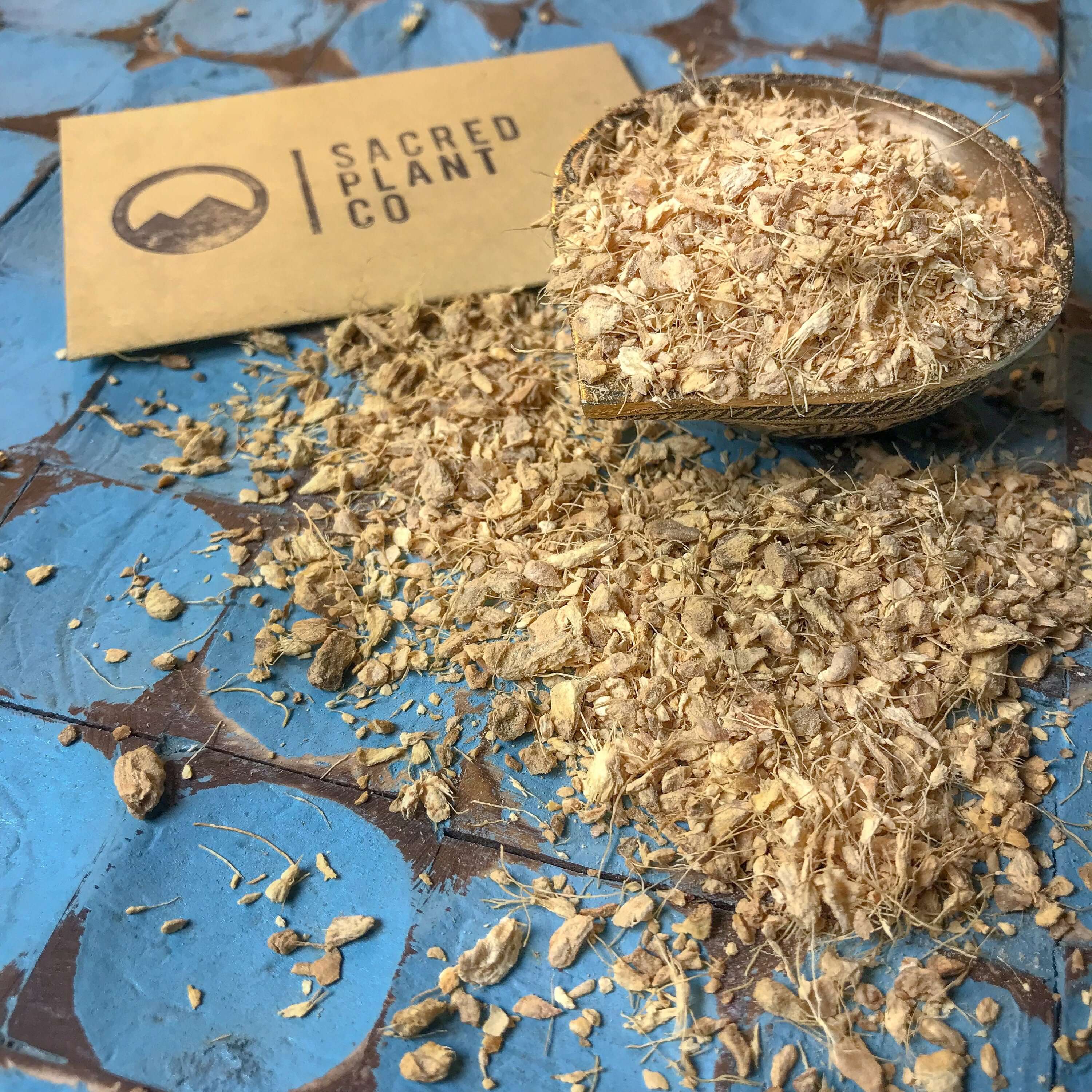 Coarse Ginger Root pieces scattered over a blue-tiled background, emphasizing the natural texture and superior quality from Sacred Plant Co.
