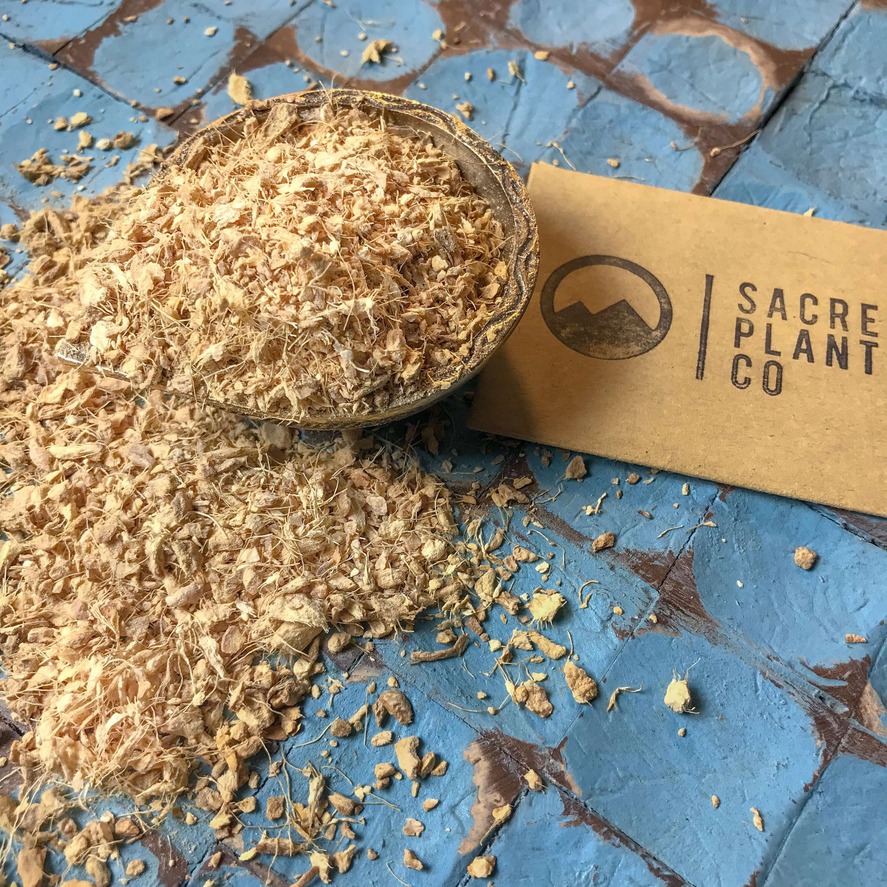 Close-up of raw Ginger Root, with its fibrous texture and warm tones, showcasing the high quality from Sacred Plant Co.