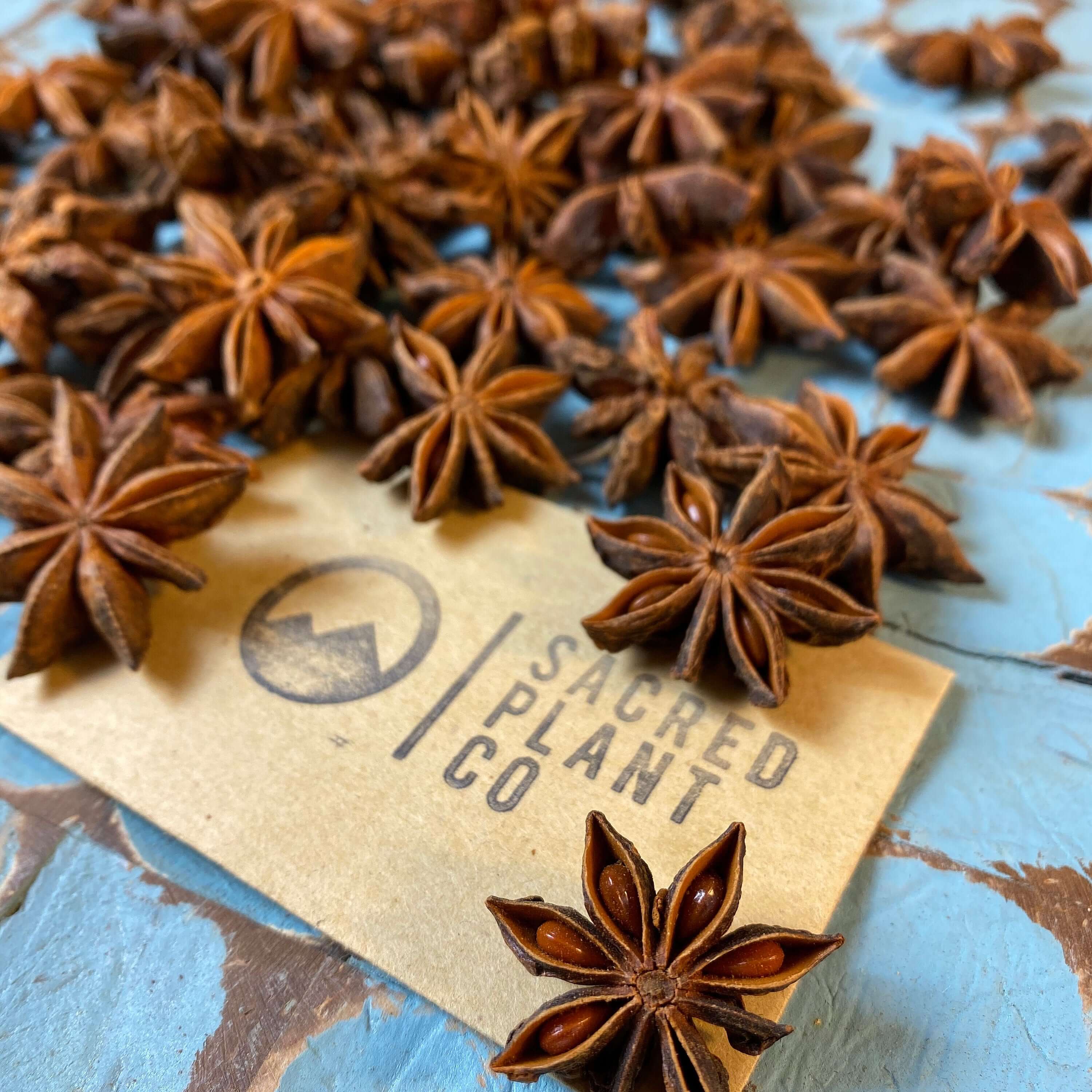 Close-up of Sacred Plant Co&