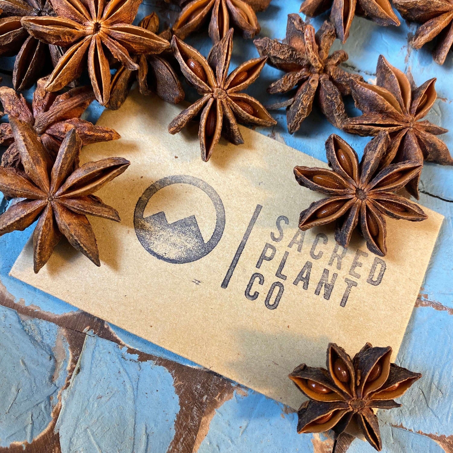 Organic deep brown Star Anise from Sacred Plant Co with intricate star patterns, rustic blue background, and eco-friendly branding.