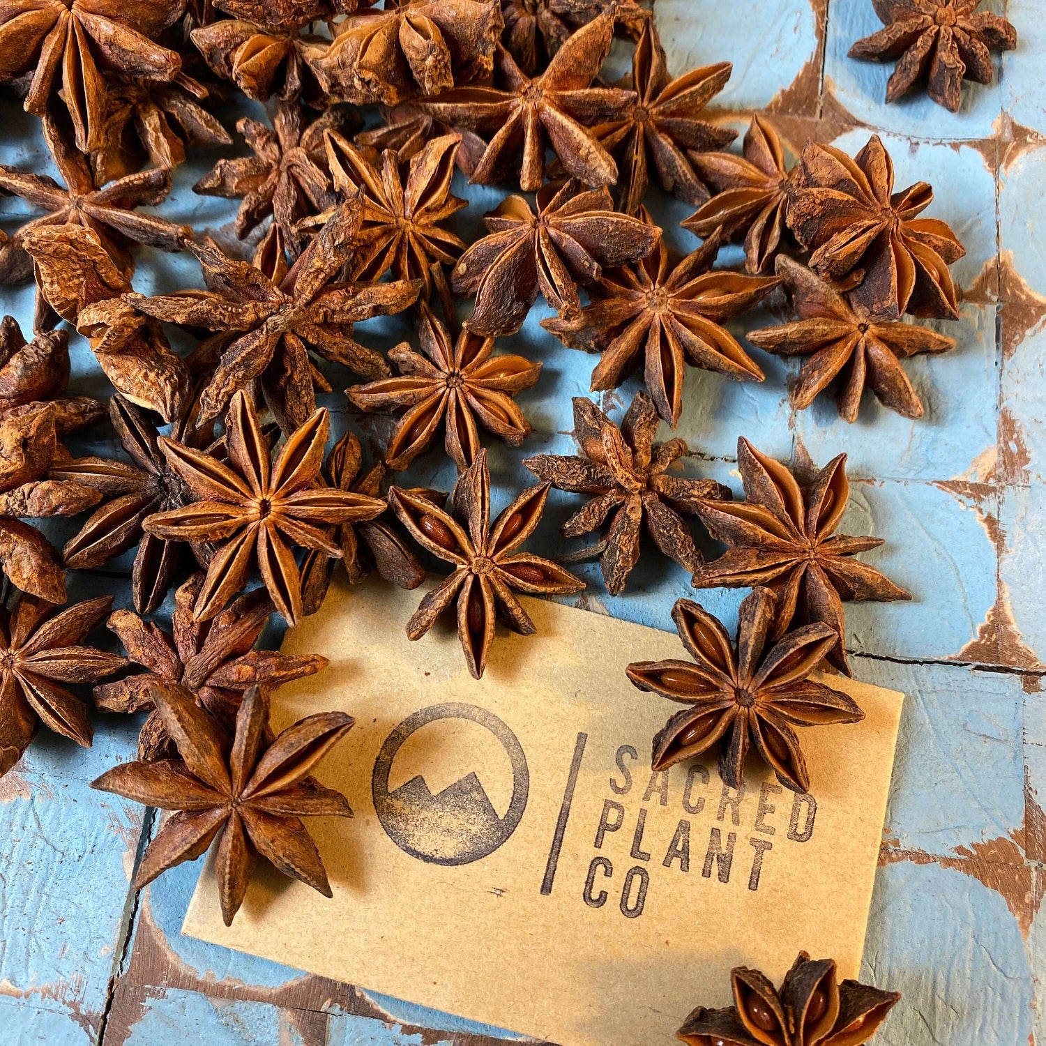 Sacred Plant Co Star Anise pods on textured blue background, brown star shaped hue colors, emphasizing aromatic spice quality and sustainable packaging.