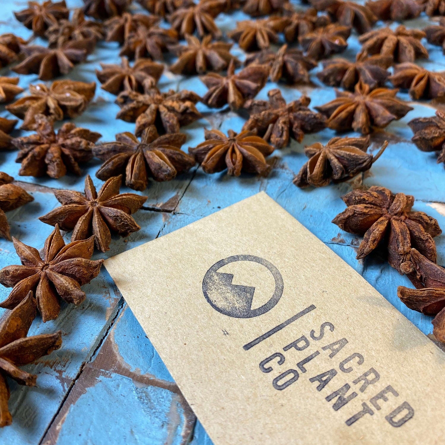 Close-up of Sacred Plant Co&