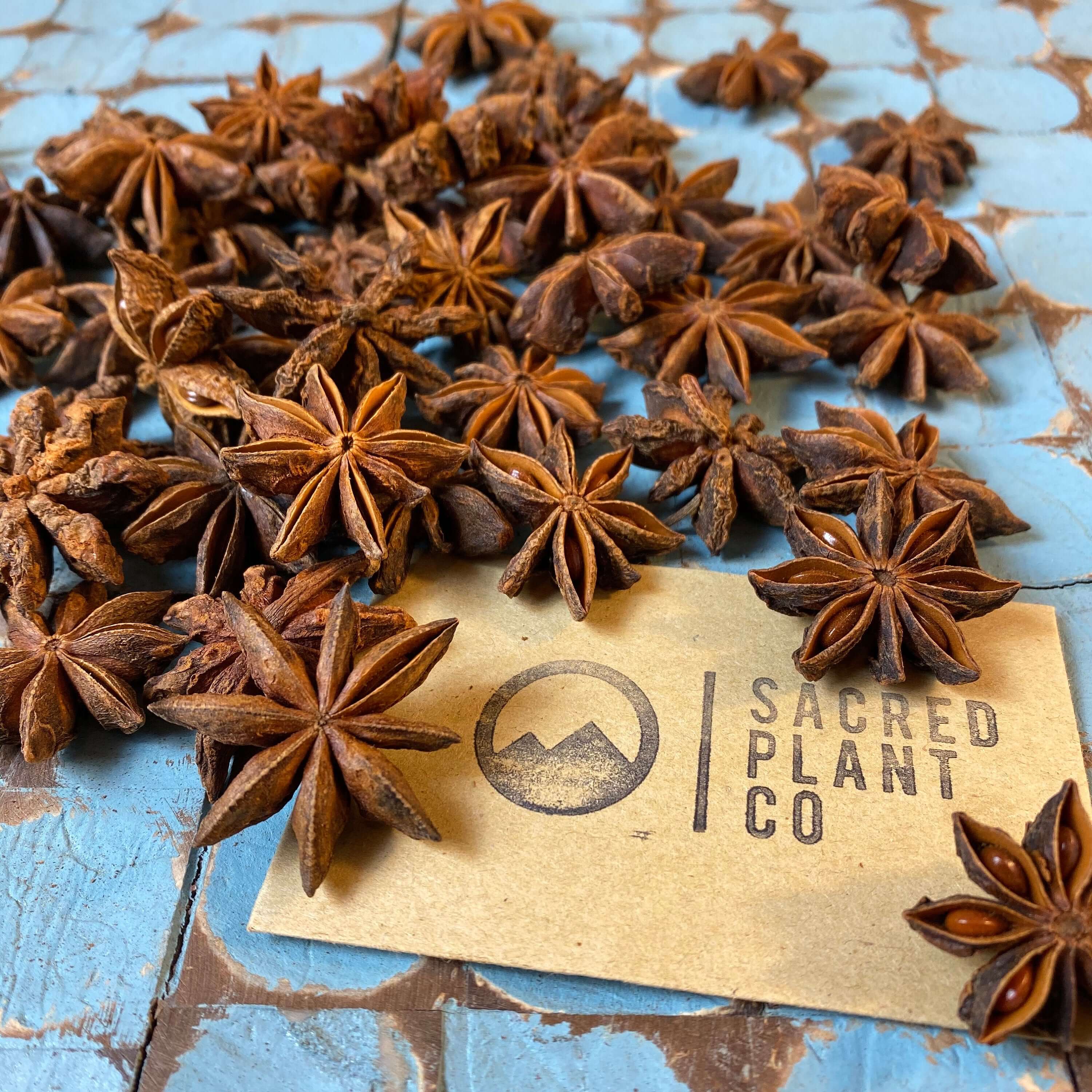 Sacred Plant Co&