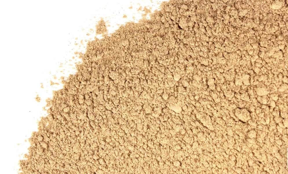 Finely ground Dandelion Root powder in light brown color with a white surface, premium quality herbal product by Sacred Plant Co. for detox and wellness.