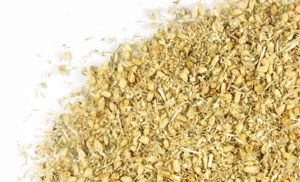 Sacred Plant Co premium Yarrow Herb, golden beige tones with fine texture, displayed on a clean white background.