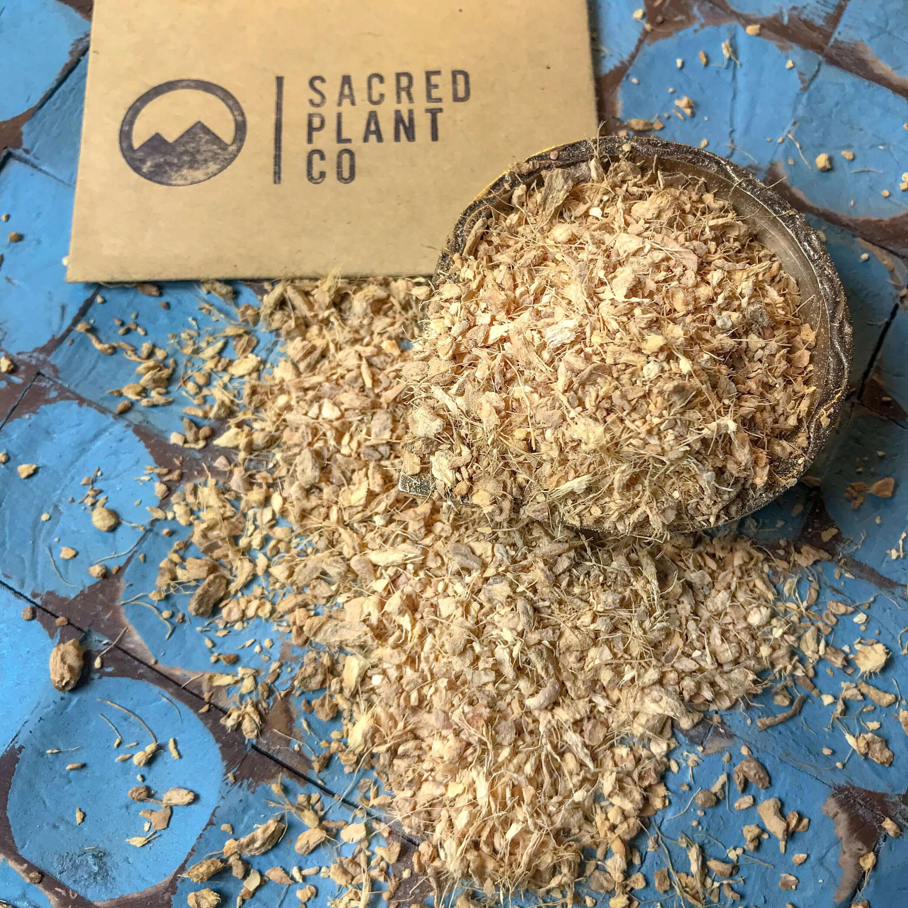 Sacred Plant Co’s organic Ginger Root, with coarse fibers and golden hues, artfully placed against a textured blue backdrop.