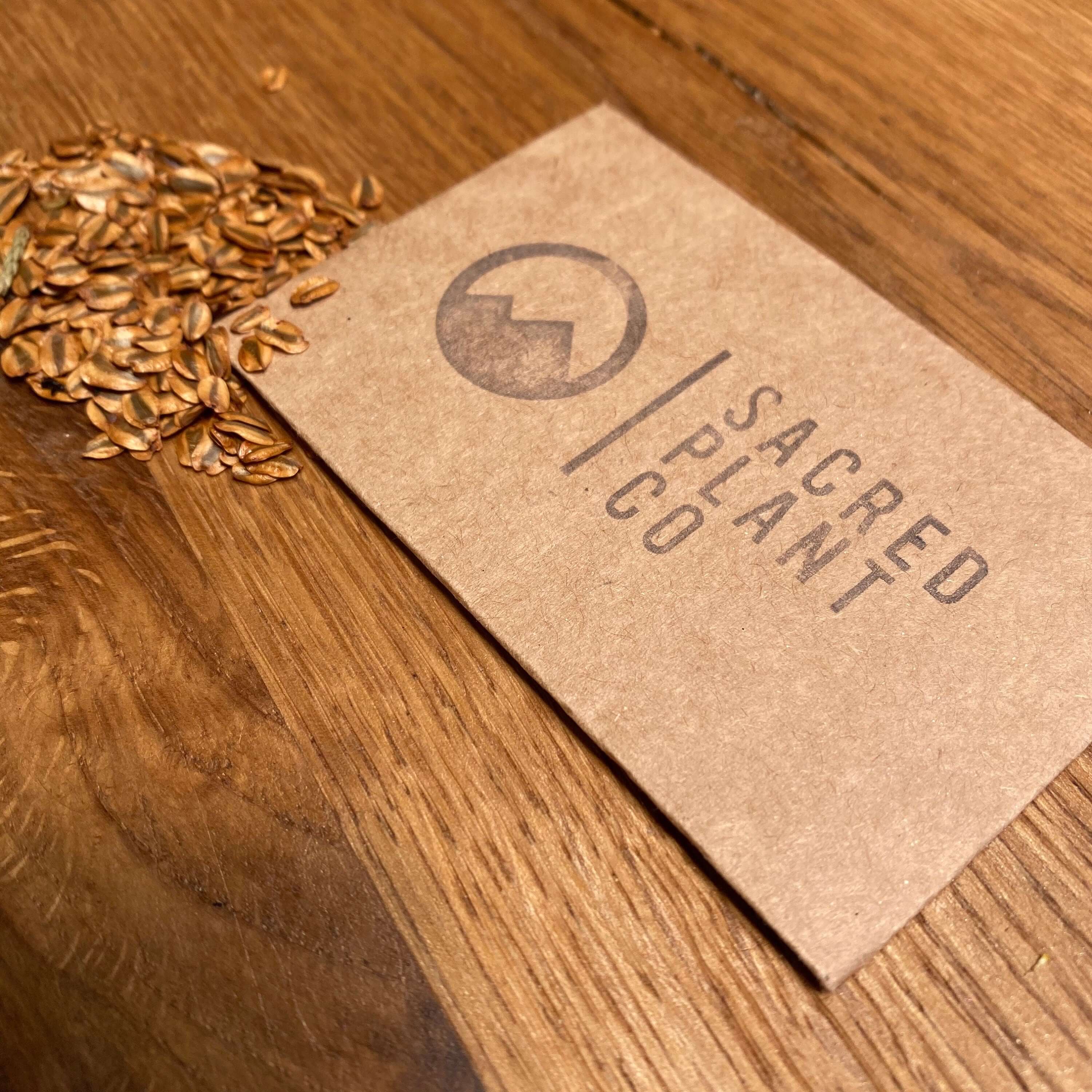 High-quality Sequoiadendron giganteum seeds from Sacred Plant Co, emphasizing sustainable agriculture and premium quality.