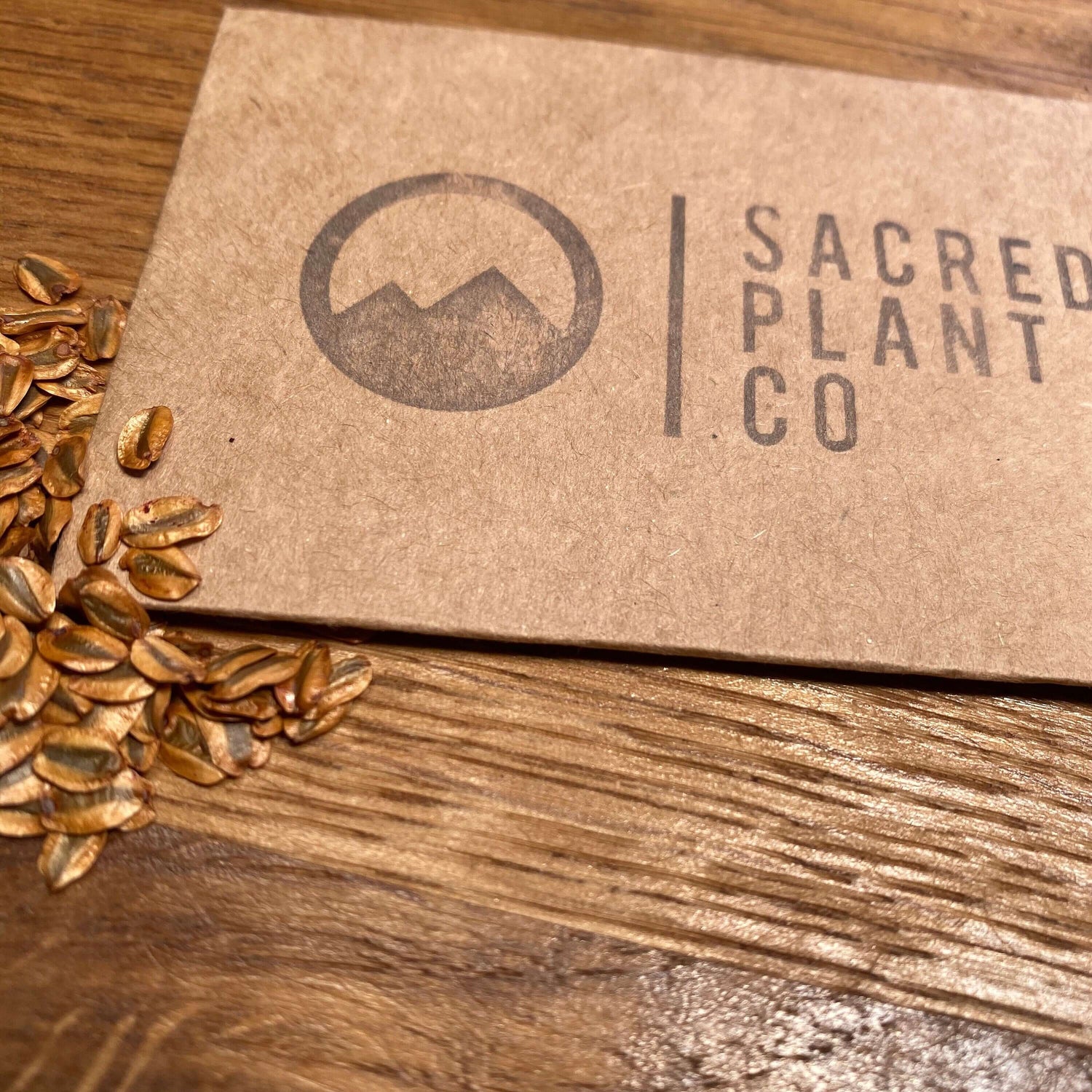 Giant Sequoia Redwood Tree Seeds | Redwood Tree Seeds | Giant Sequoia Tree Seeds | Sequoiadendron giganteum Seeds | Sierra Redwood Seeds