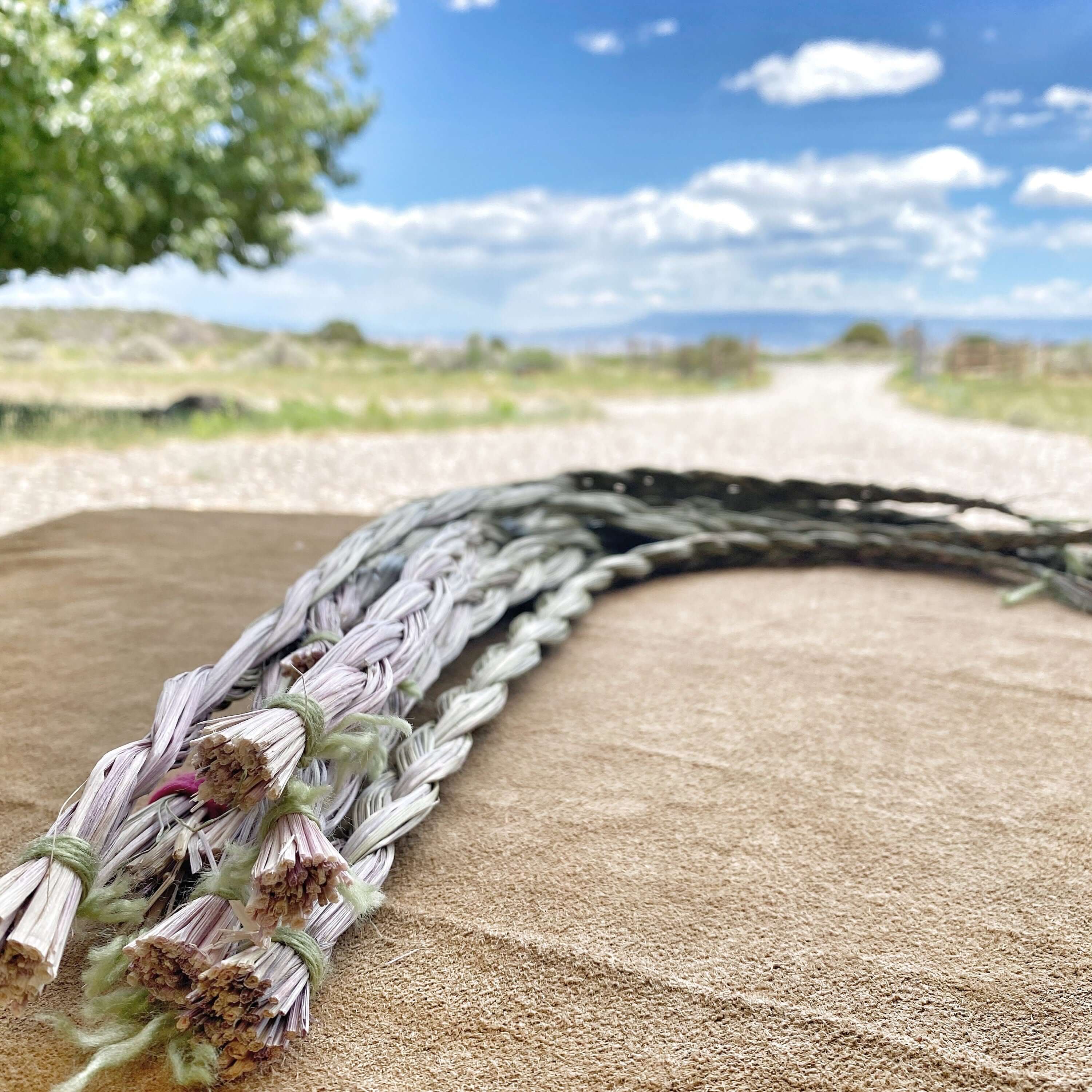 A row of perfectly braided Sweetgrass bundles, symbolizing the reverence for nature&