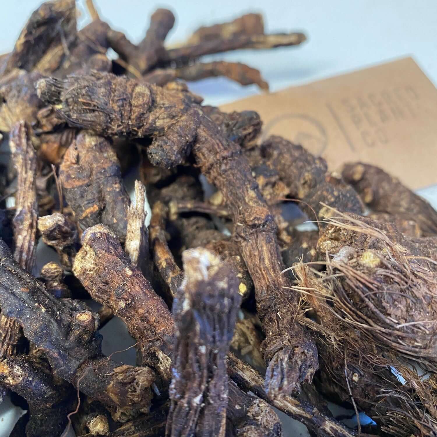 Pile of Osha roots from Sacred Plant Co, presented in a rustic setting, emphasizing the organic and raw form of the product for sale.