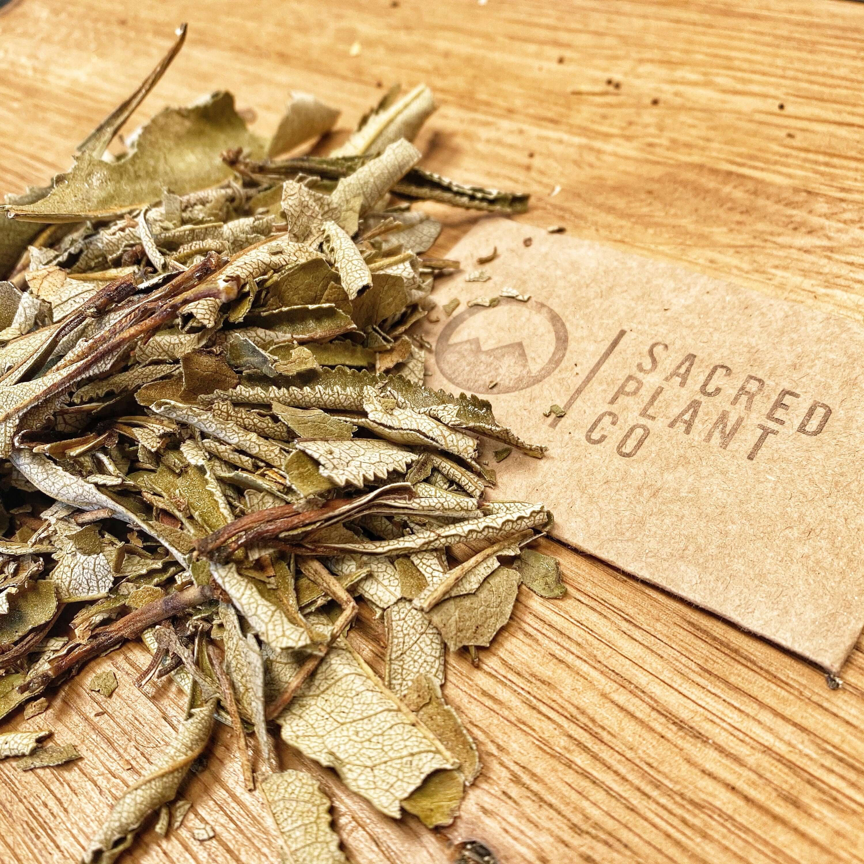 Rustic presentation of Sacred Plant Co&