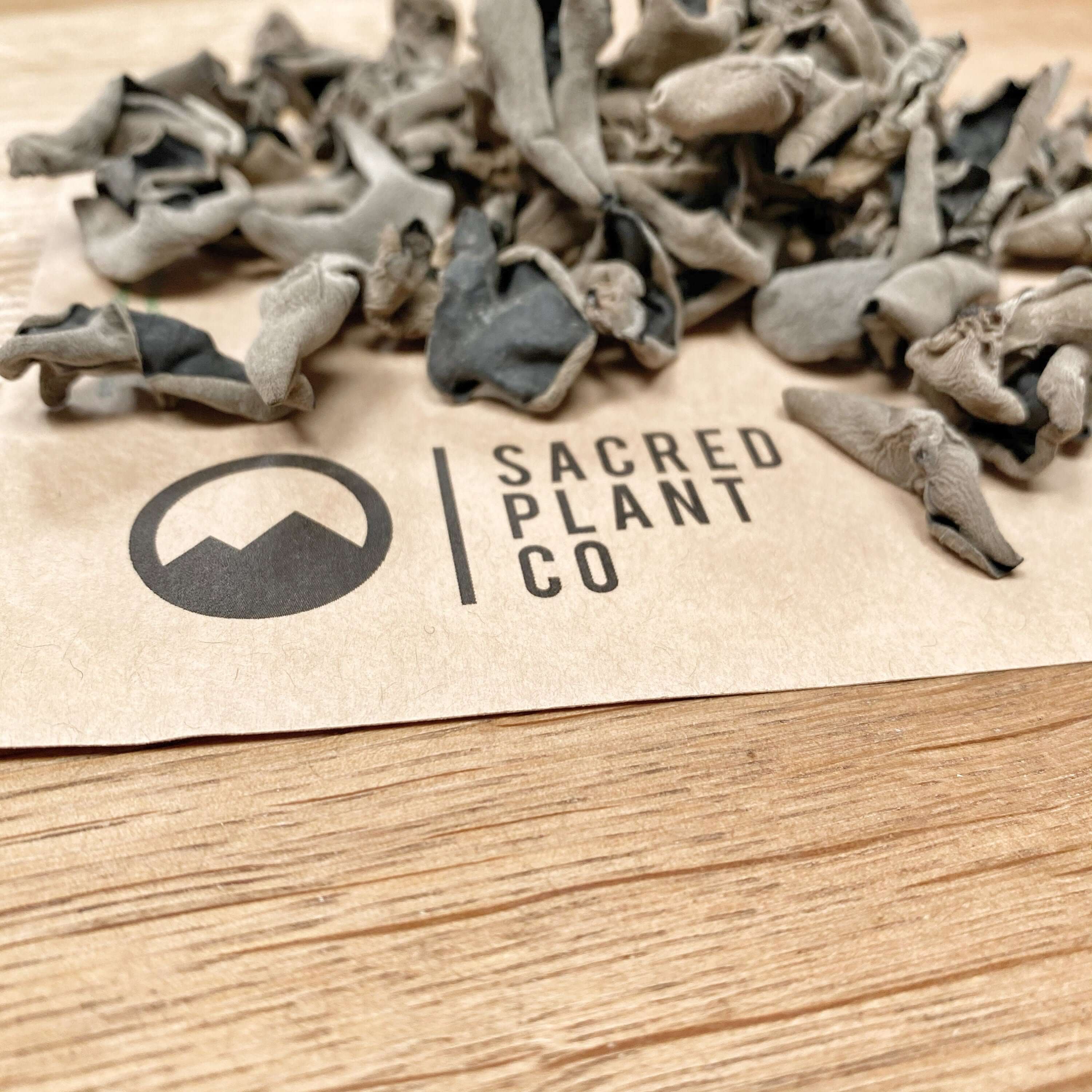 Gray-black dried Woodear Mushroom by Sacred Plant Co, with a distinctive wrinkled texture, placed on kraft paper packaging on a rustic wooden surface.