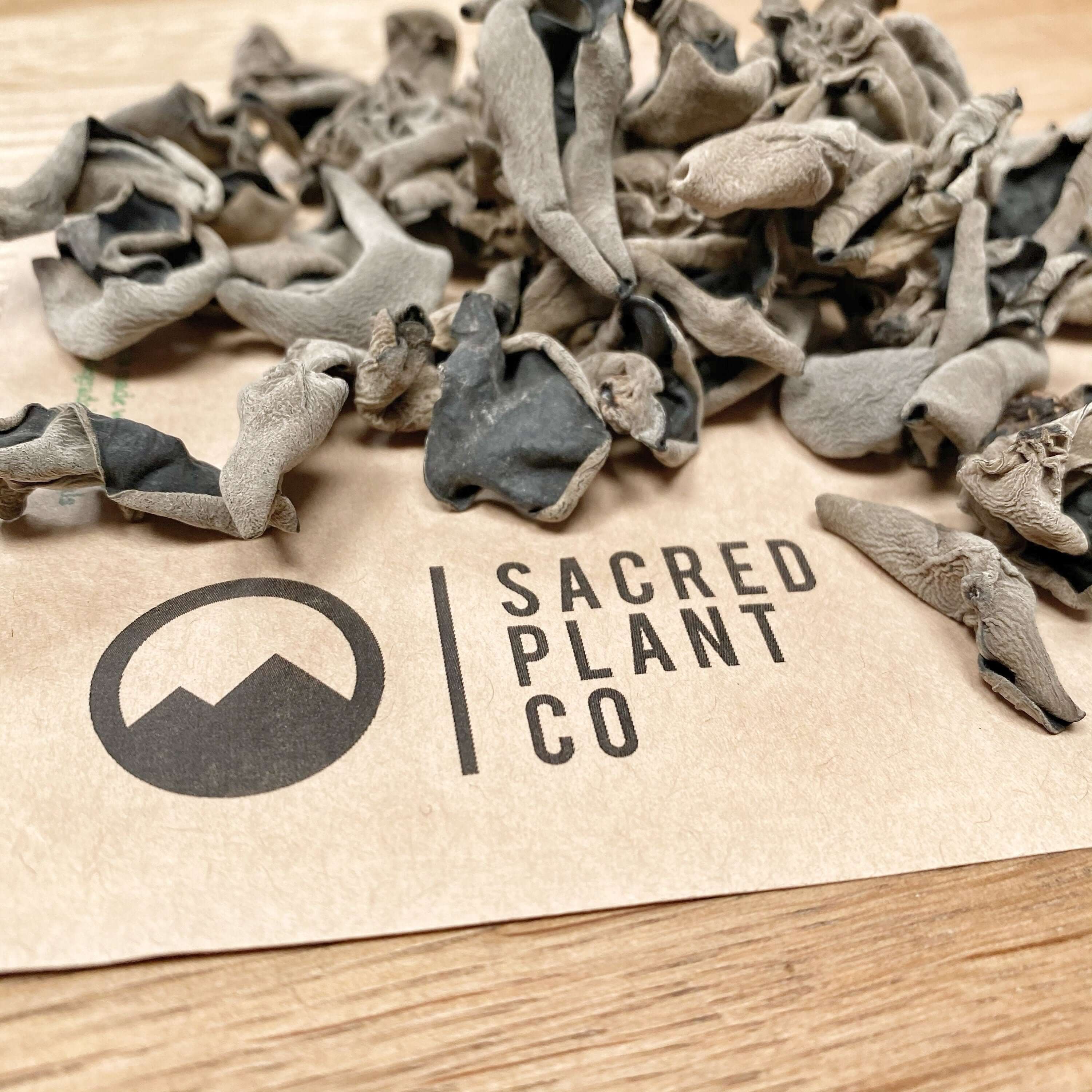 Premium dried Woodear Mushroom from Sacred Plant Co, with grayish-black curls and a textured look, presented on kraft paper packaging on a wooden surface.
