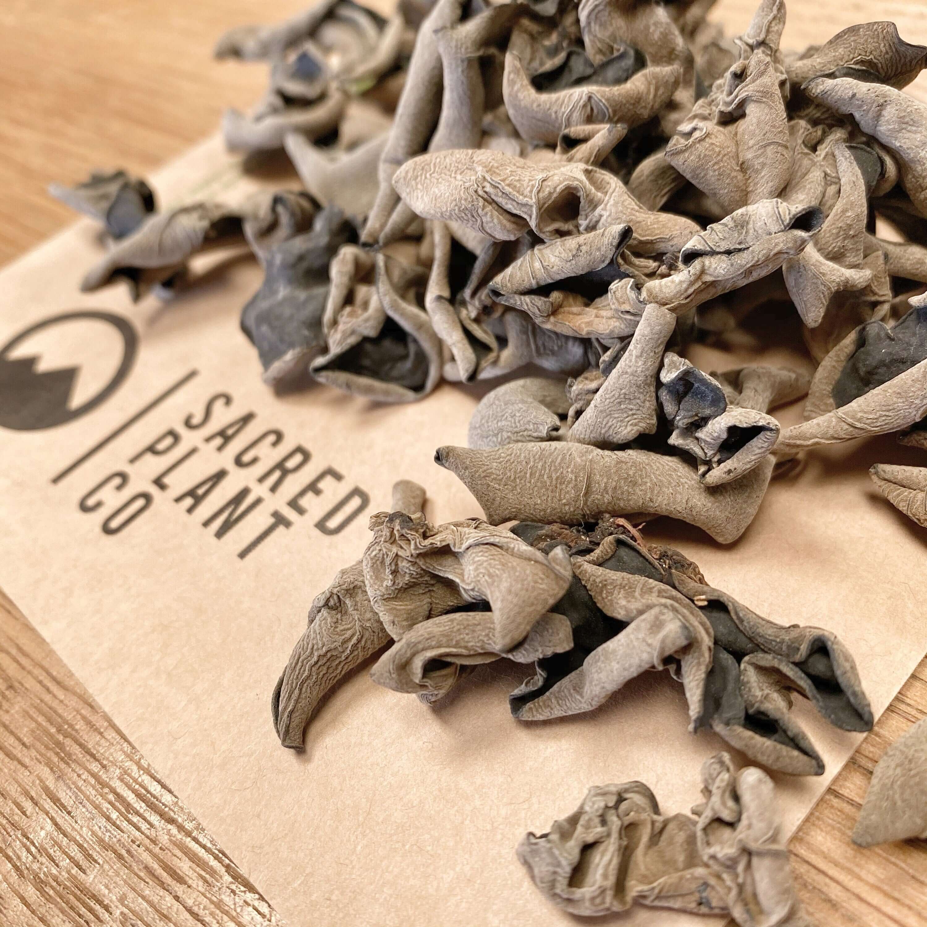 Top-quality Sacred Plant Co dried Woodear Mushroom, grayish-black with a distinct wrinkled texture, on kraft paper packaging over a wooden surface.