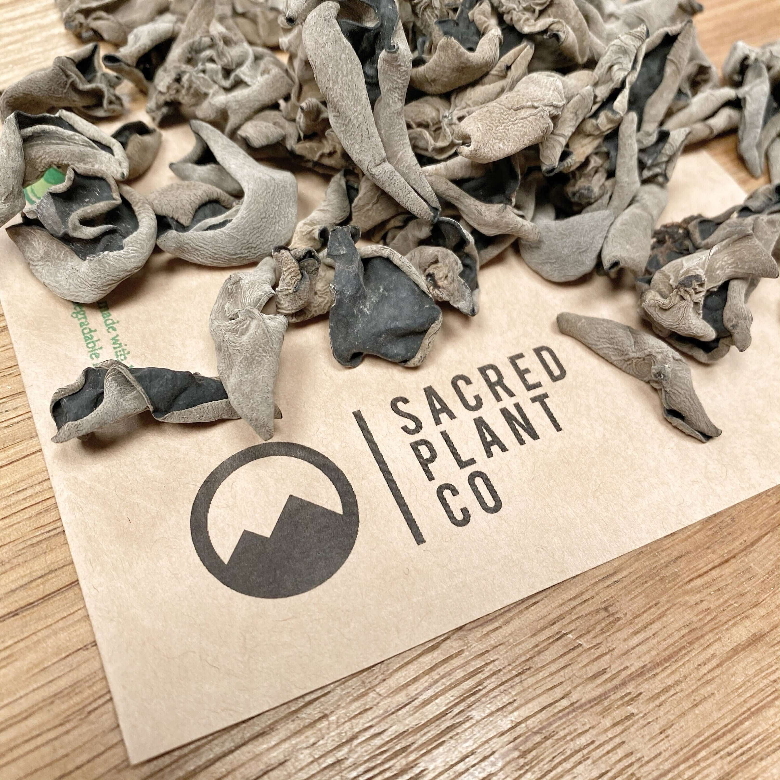 Sacred Plant Co&