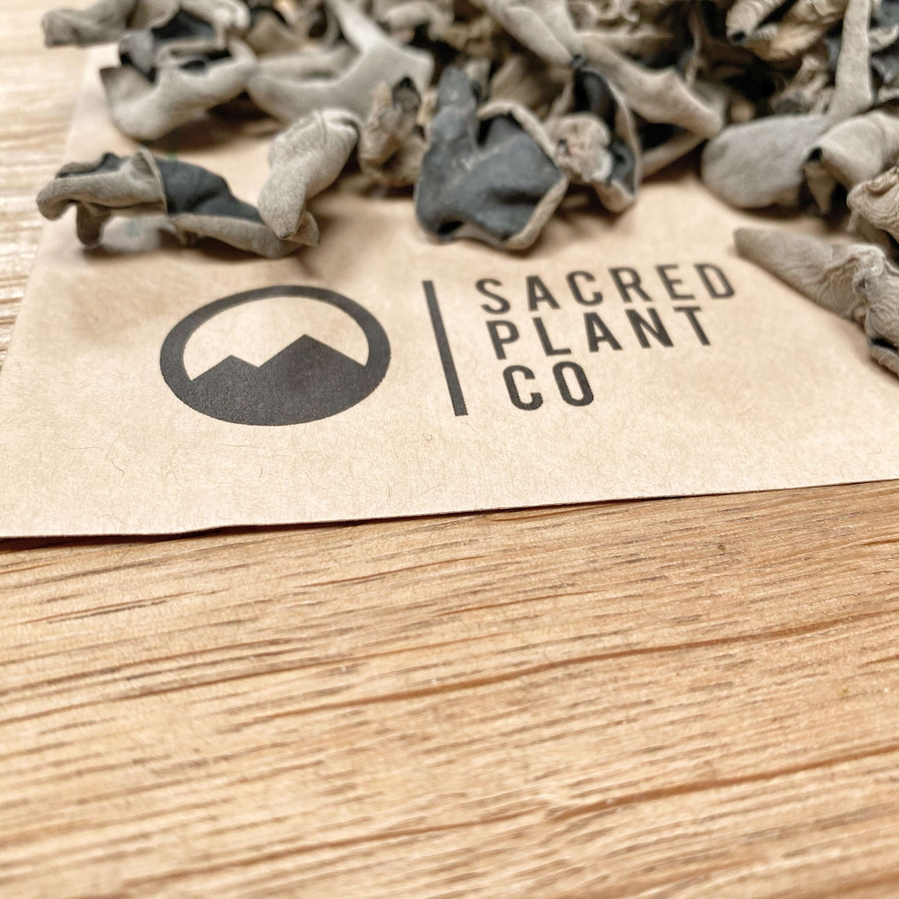 Sacred Plant Co dried Woodear Mushroom, featuring a gray-black color and unique texture, set on kraft paper packaging with a wooden background.
