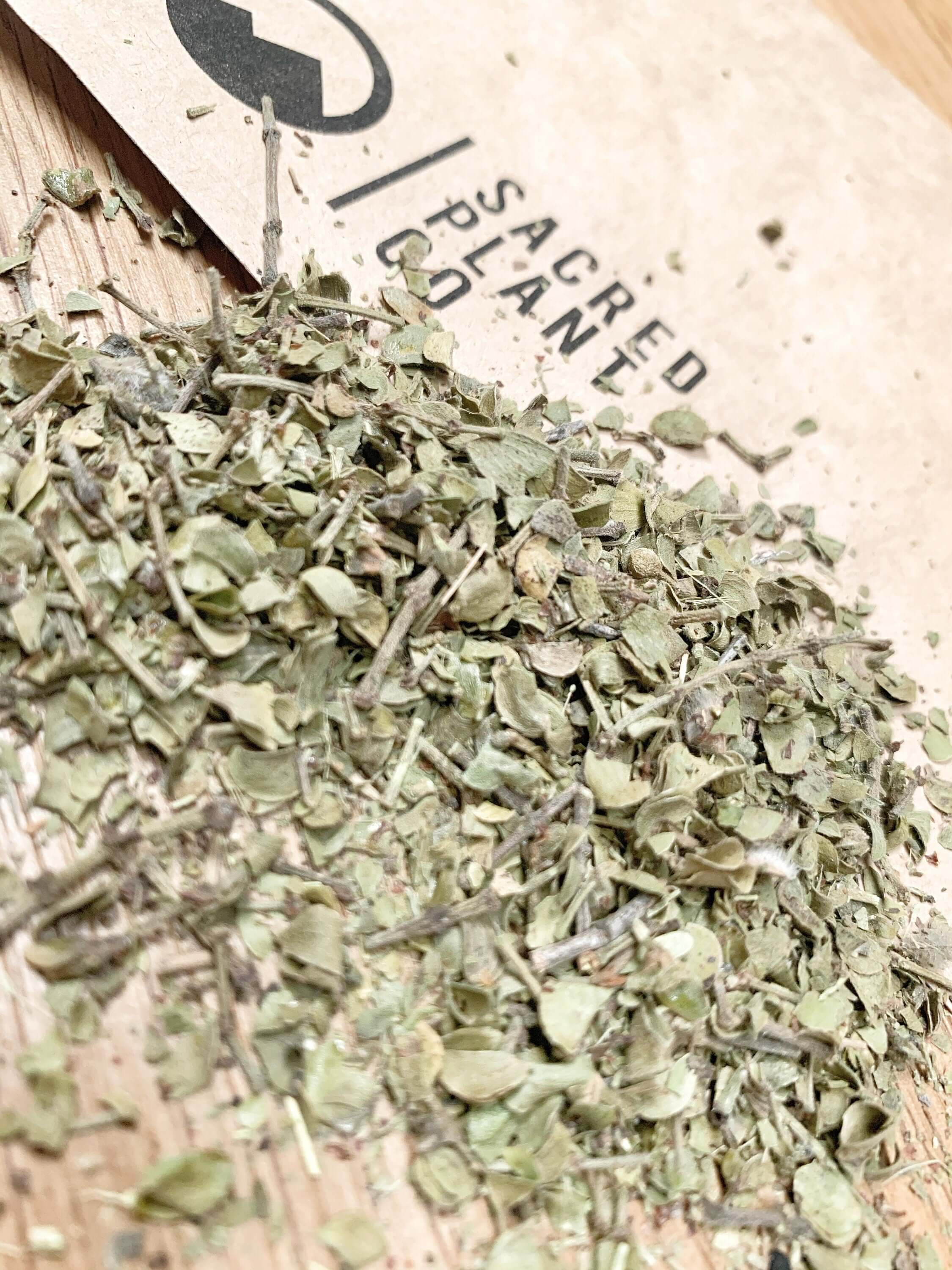 Low-angle photo of Sacred Plant Co Chaparral Leaf, dry texture with pale green hues, positioned on a kraft paper surface highlighting sustainable branding.