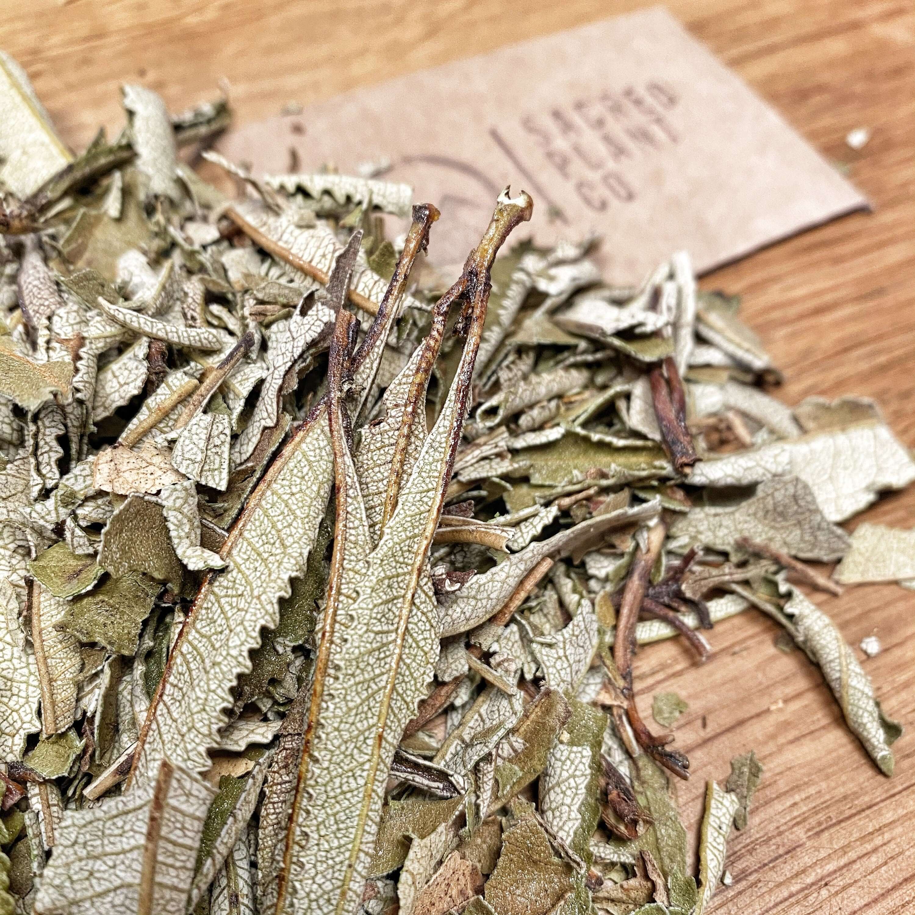 Yerba Santa Leaf from Sacred Plant Co displayed on a rustic wooden background, showcasing the rough texture and earthy quality of the herb.