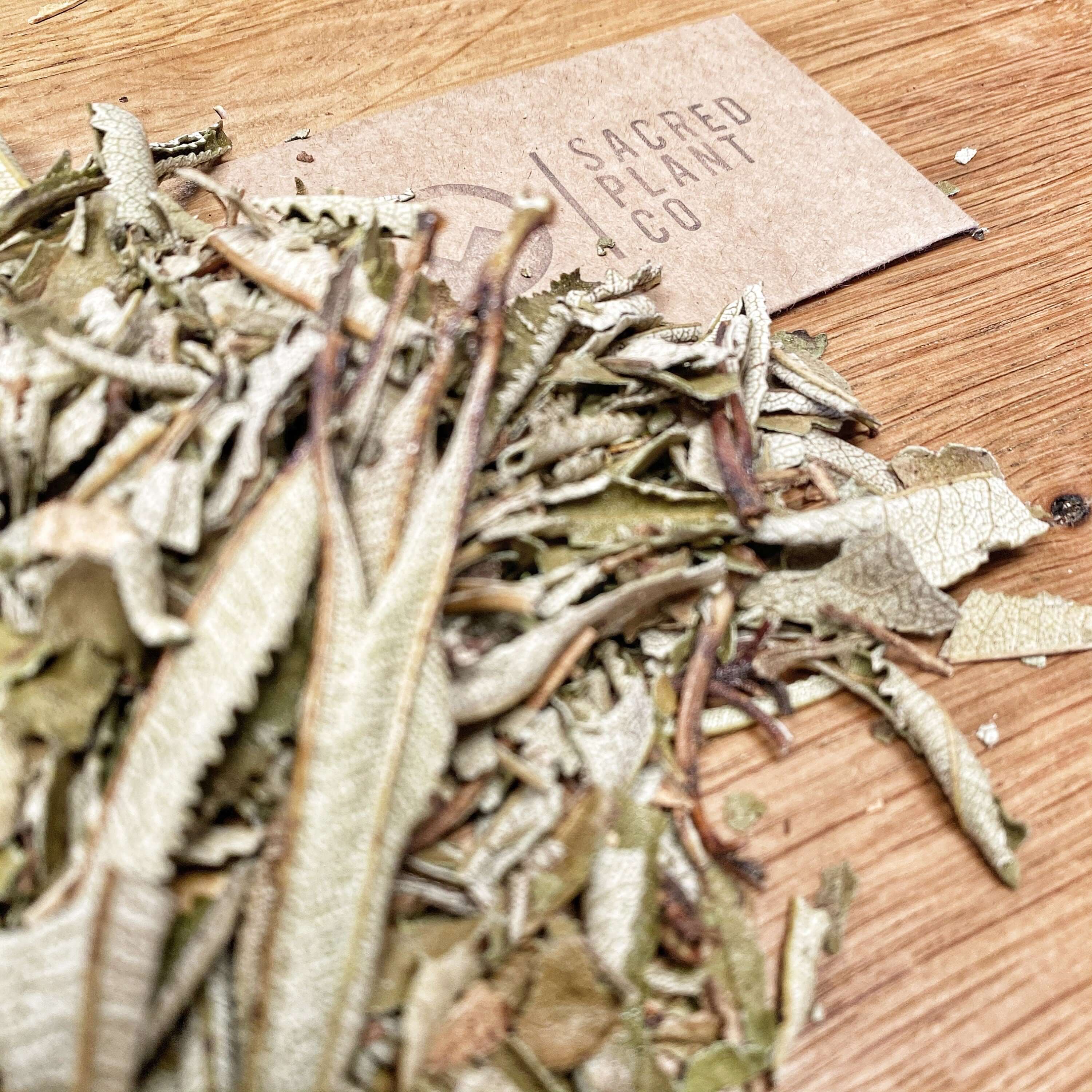 Premium Yerba Santa Leaf by Sacred Plant Co, arranged on wood. The dried texture and natural color detail the herb&