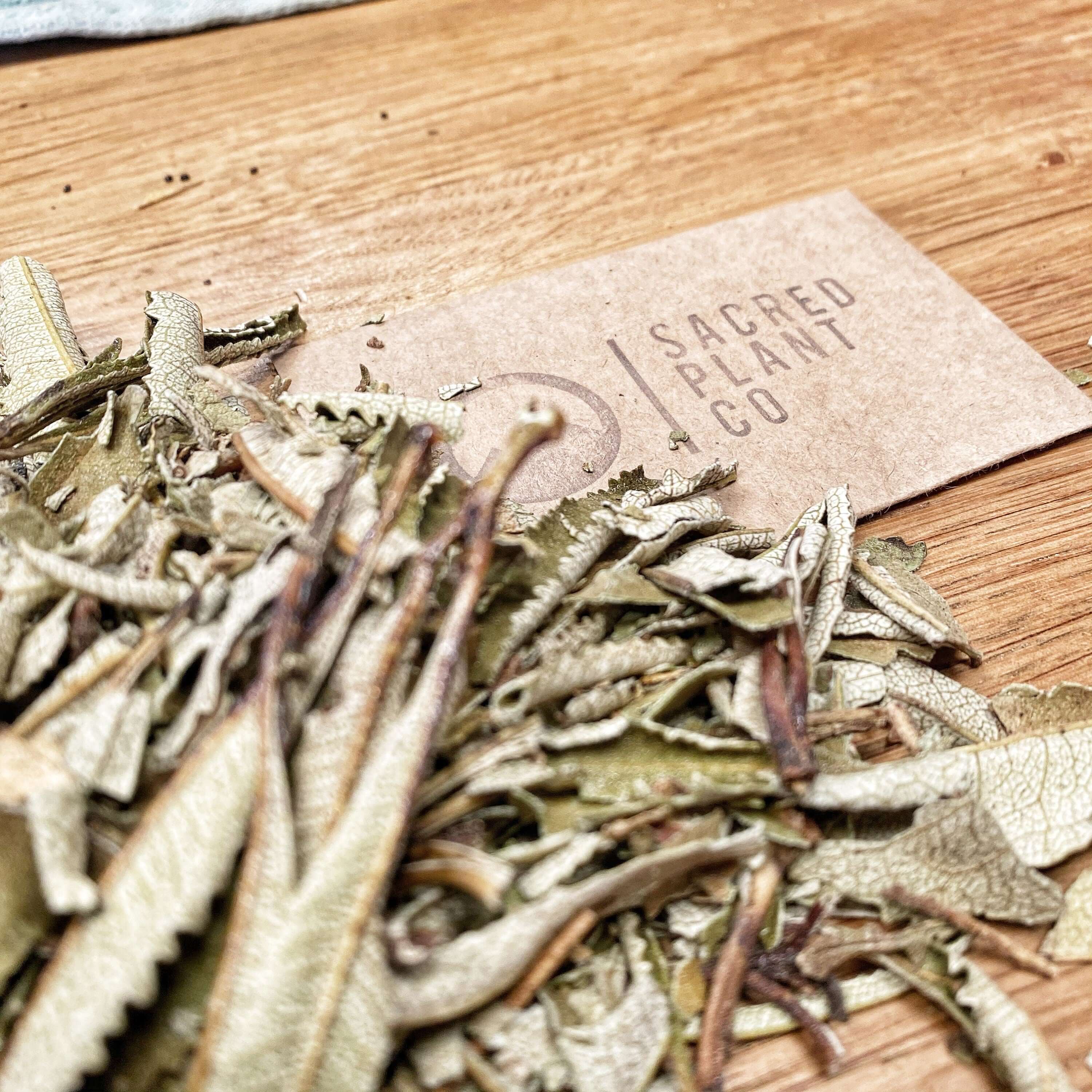 Sacred Plant Co&