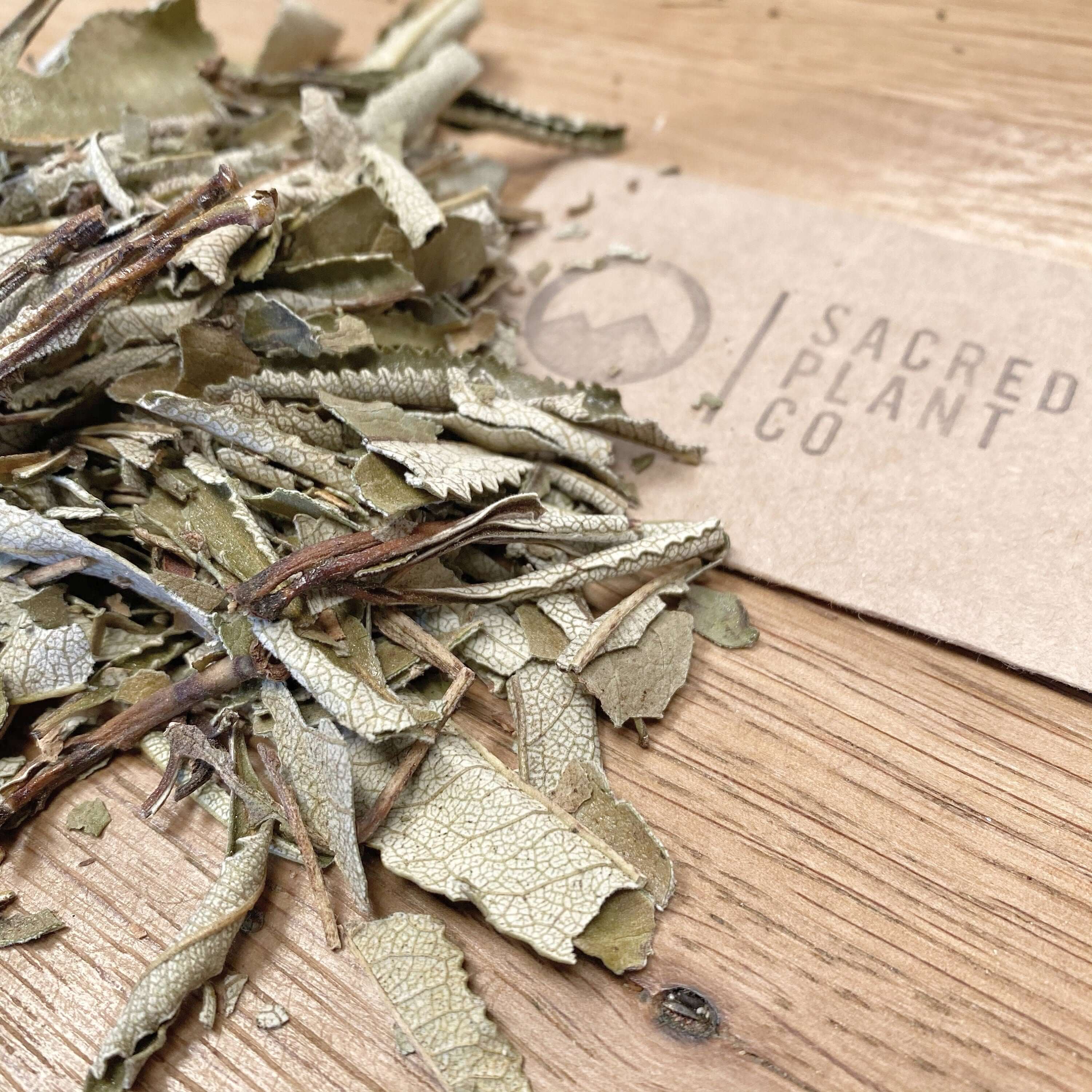 Dried Yerba Santa Leaf by Sacred Plant Co, spread across a wooden background. The image highlights the unique texture and quality of the herb.
