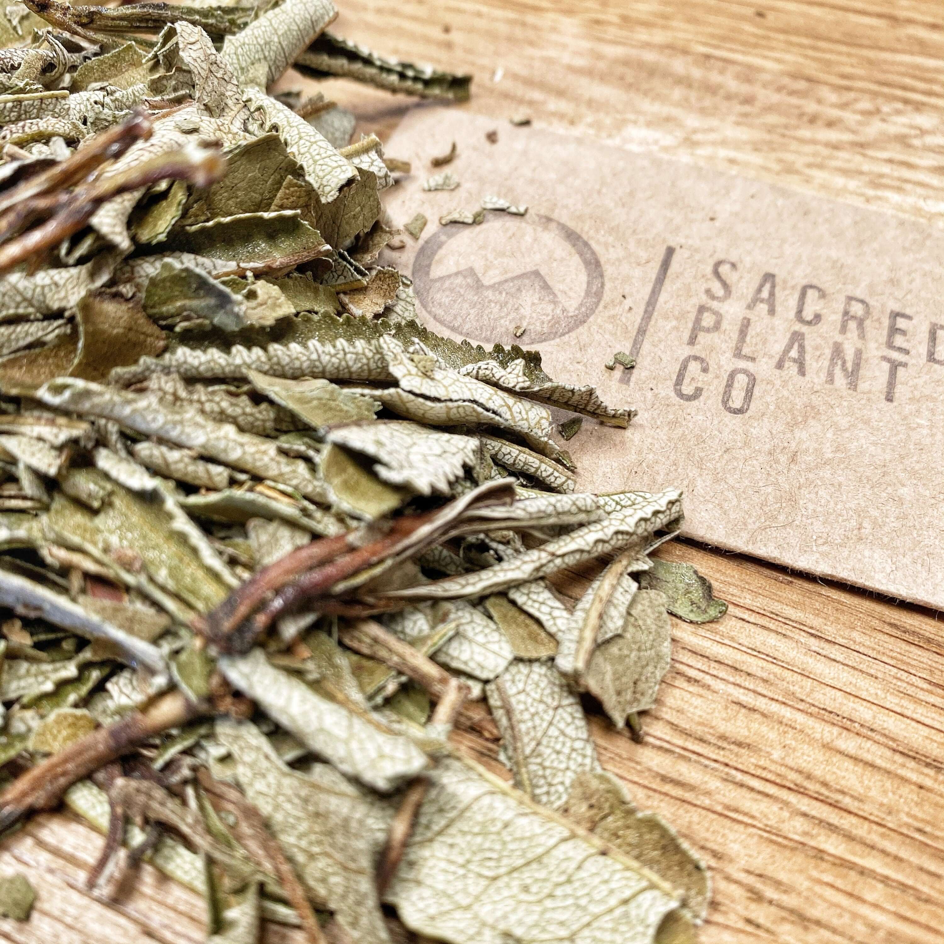 Close-up shot of Sacred Plant Co&