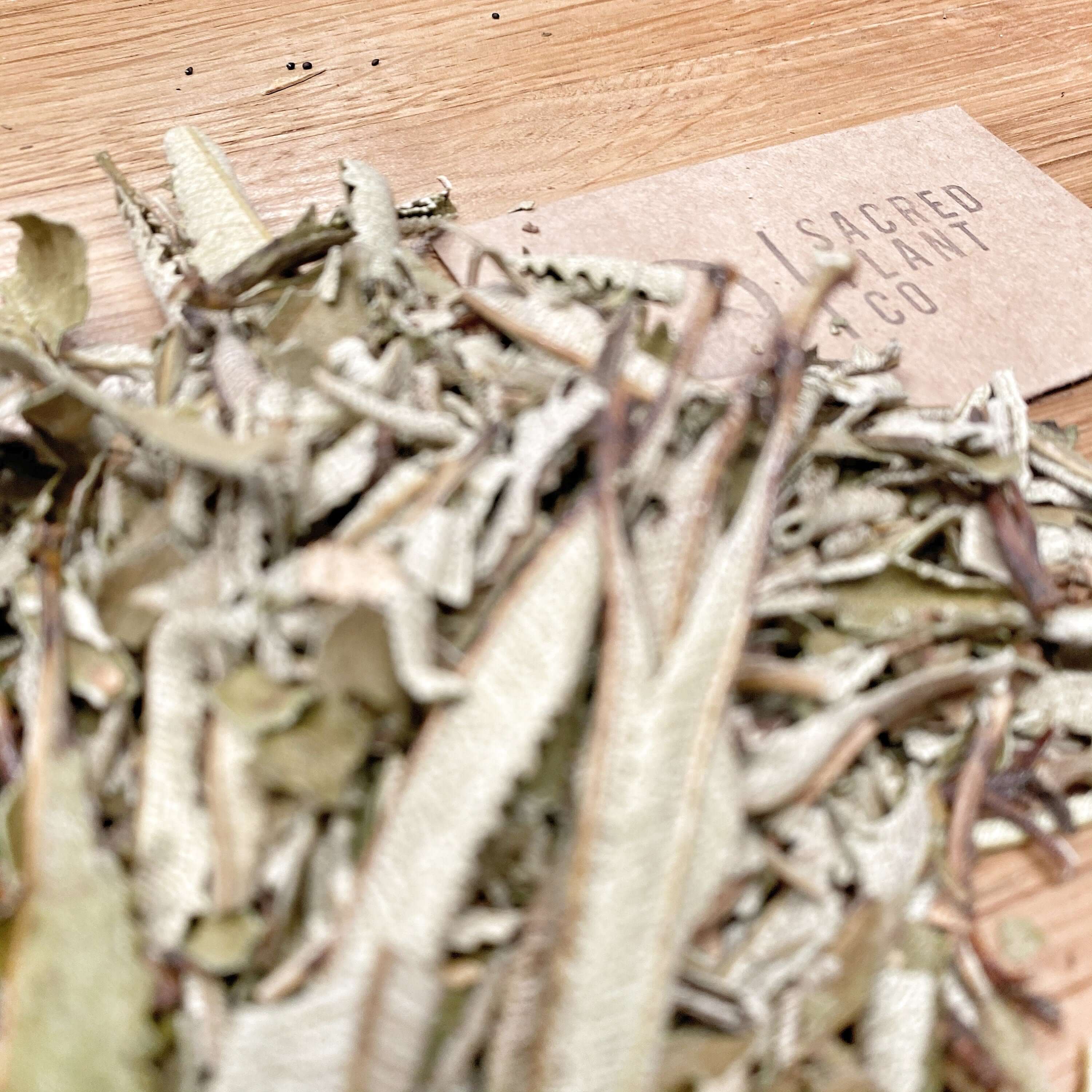 Sacred Plant Co Yerba Santa Leaf, scattered on a wooden surface. The dried, textured leaves highlight natural quality and artisanal presentation.