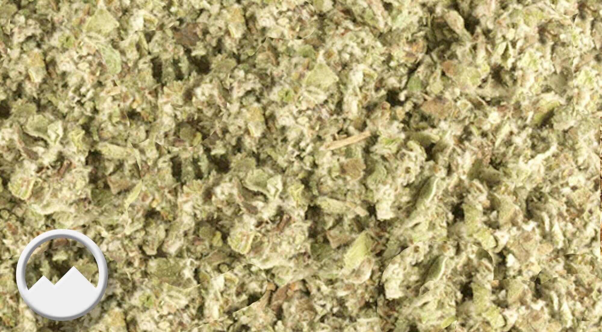 Light green, coarse-textured Coltsfoot Herb from Sacred Plant Co showcased against a neutral background, emphasizing its natural quality.