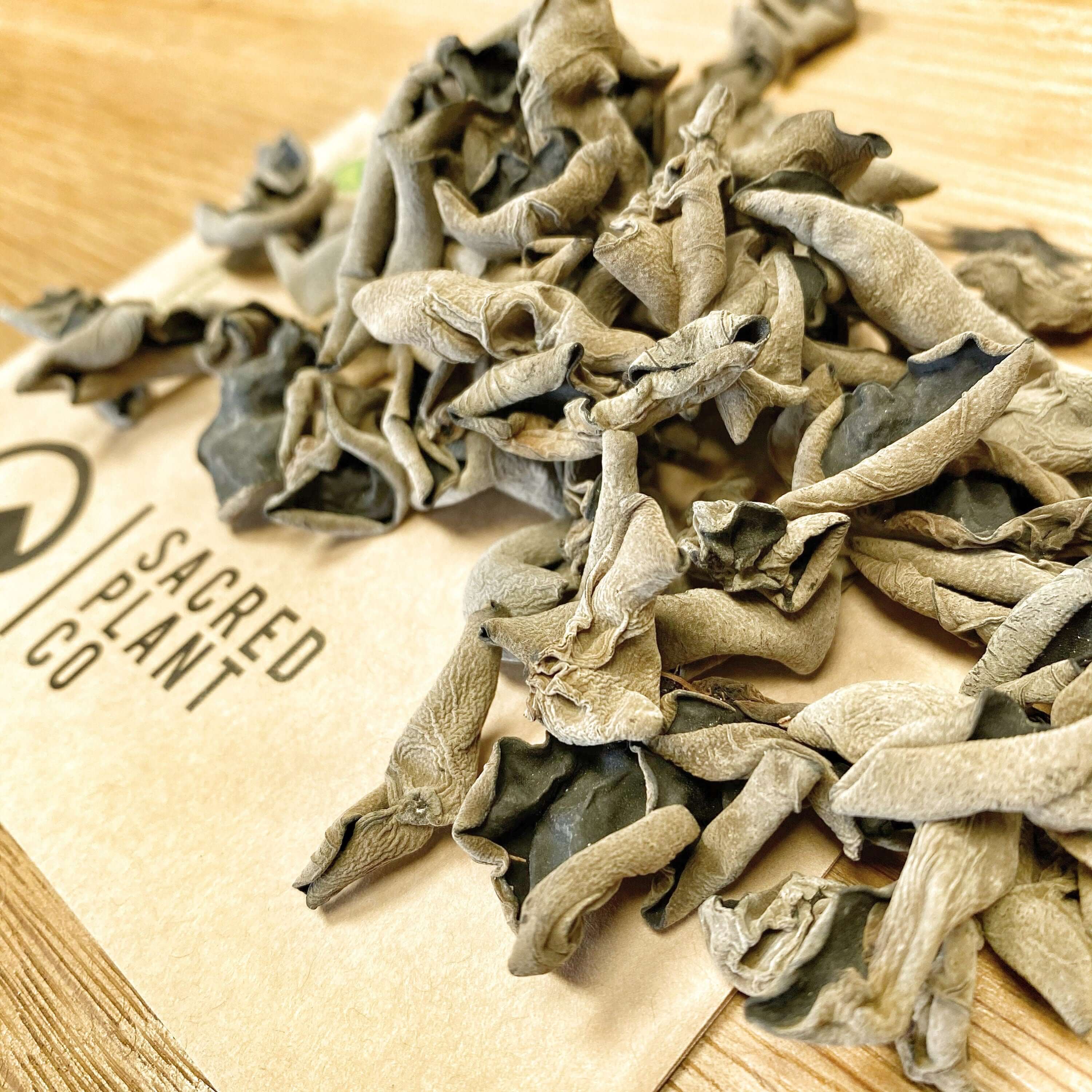 Sacred Plant Co Woodear Mushroom, dried and grayish-black in color, showing its textured surface on natural kraft paper packaging over a rustic wood background.