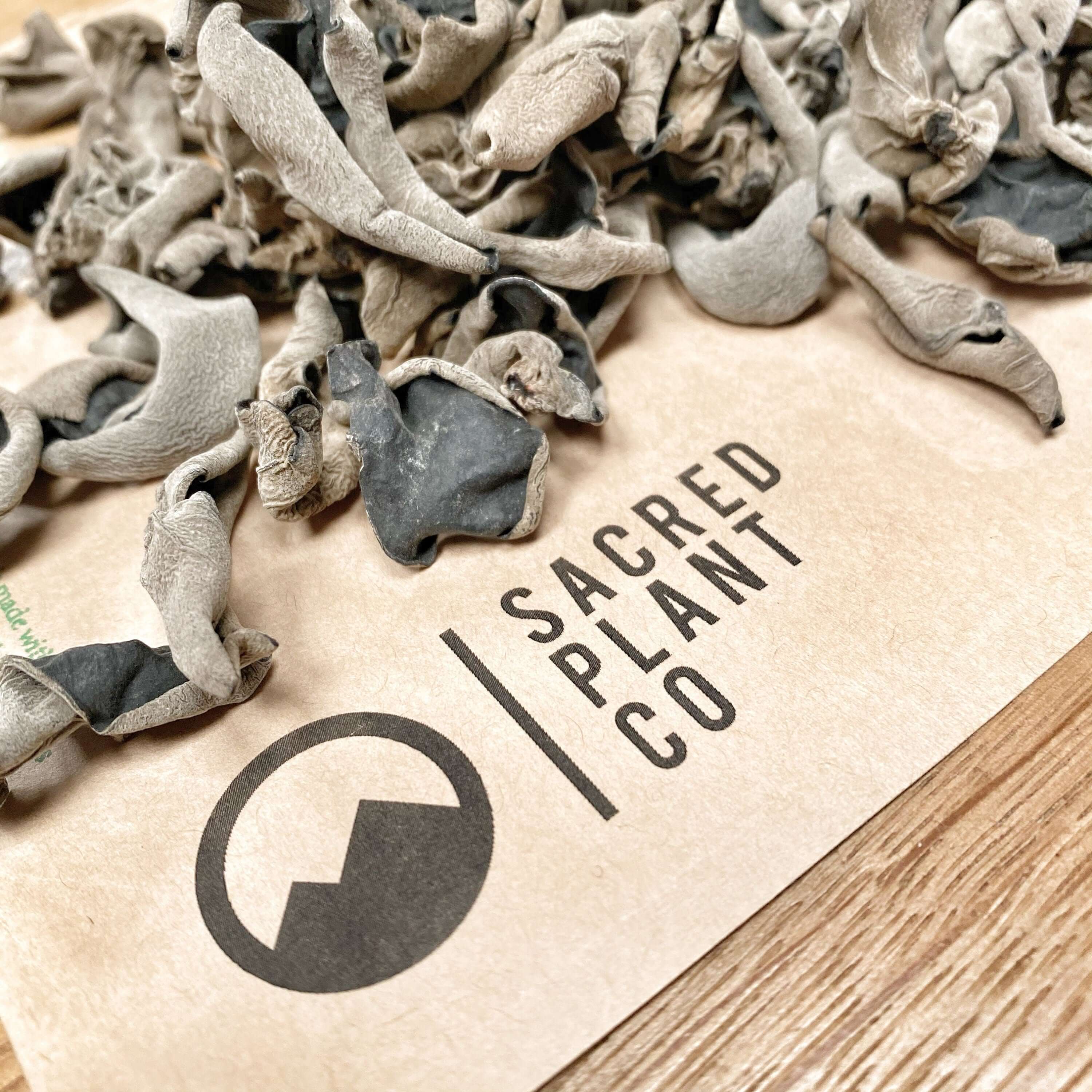 High-quality Sacred Plant Co dried Woodear Mushroom, with a grayish-black color and wrinkled texture, displayed on kraft paper packaging over a wooden surface.