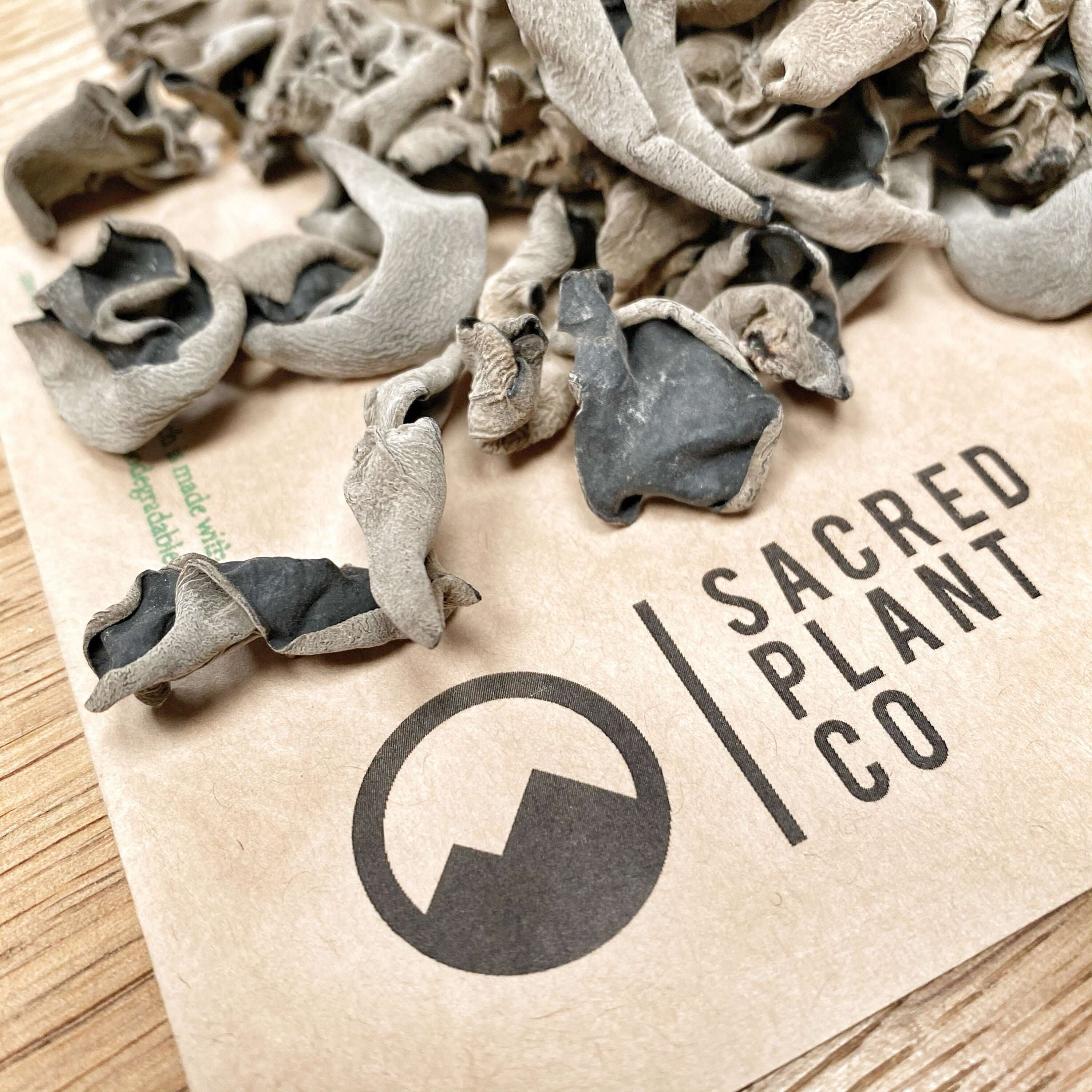 Close‑up of dried Wood Ear mushrooms on Sacred Plant Co kraft paper bag – sustainably grown, earthy curls